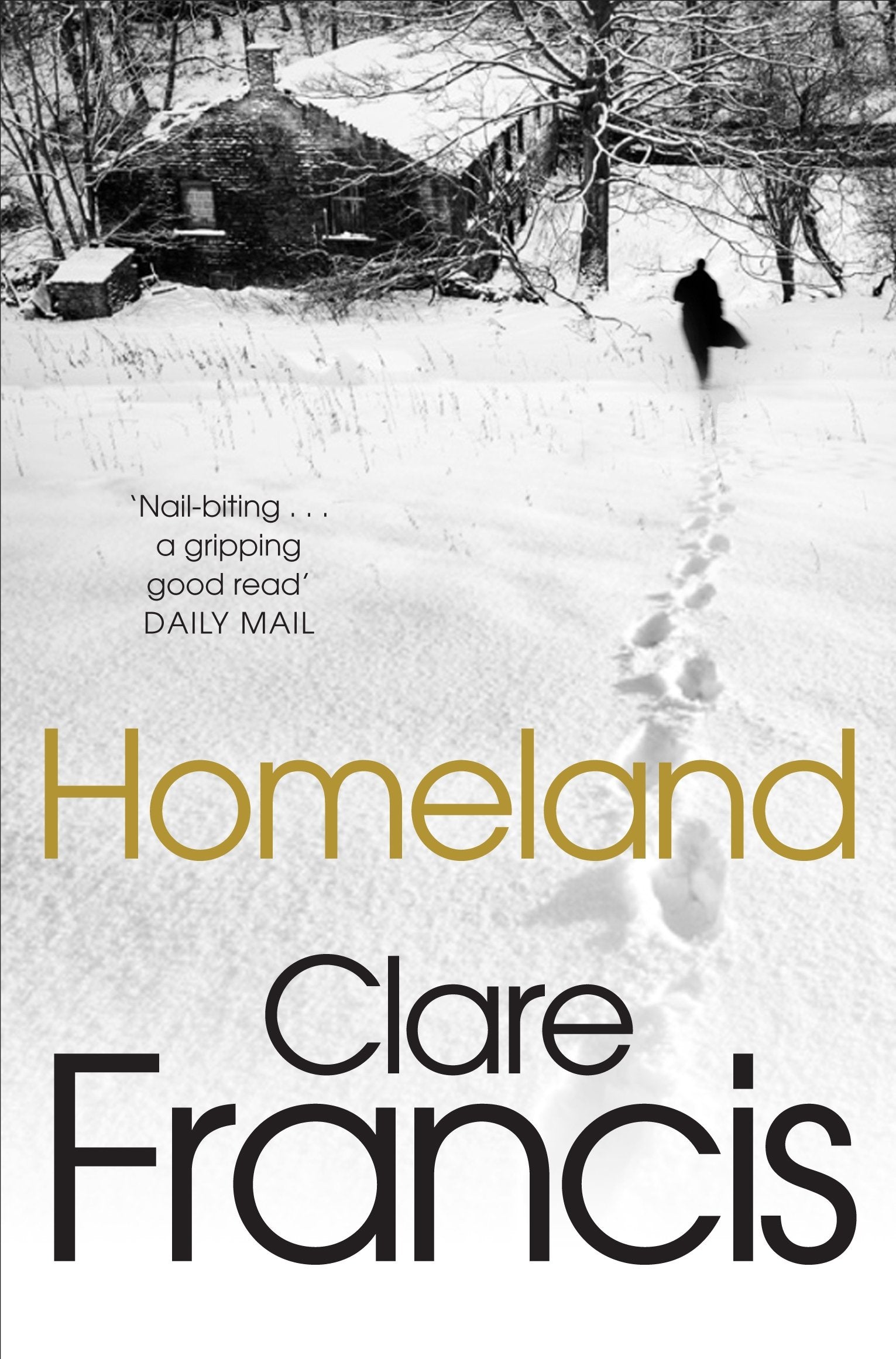 Homeland Contemporary literature Books