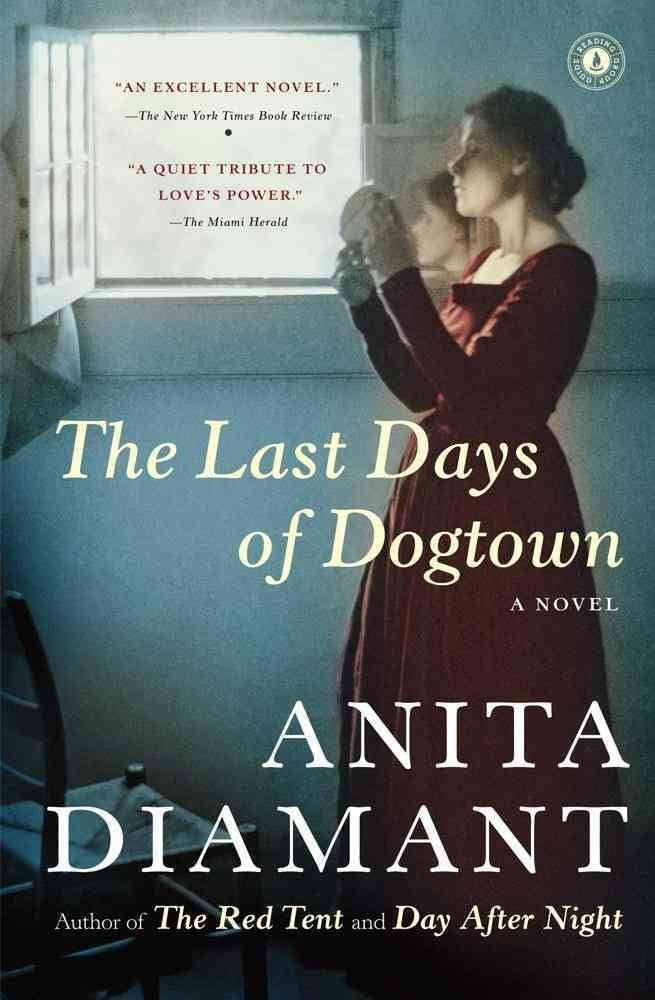 The Last Days of Dogtown book
