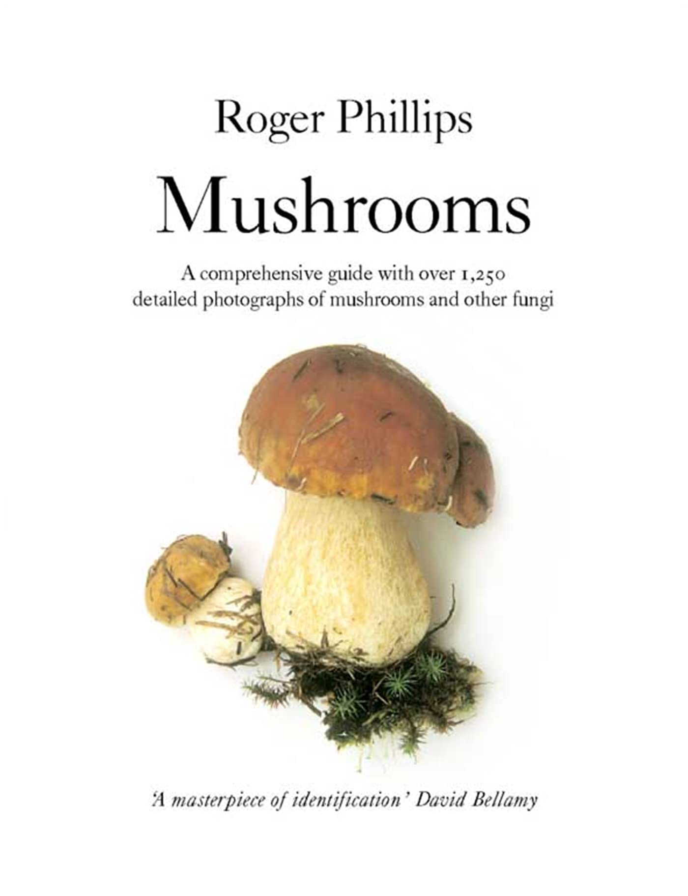 Mushrooms (Aziza's Secret Fairy Door, 8) Mathematics