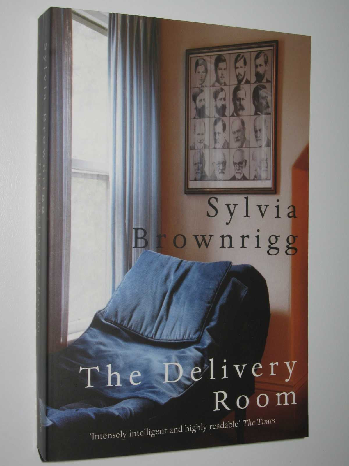 Product Image: The Delivery Room