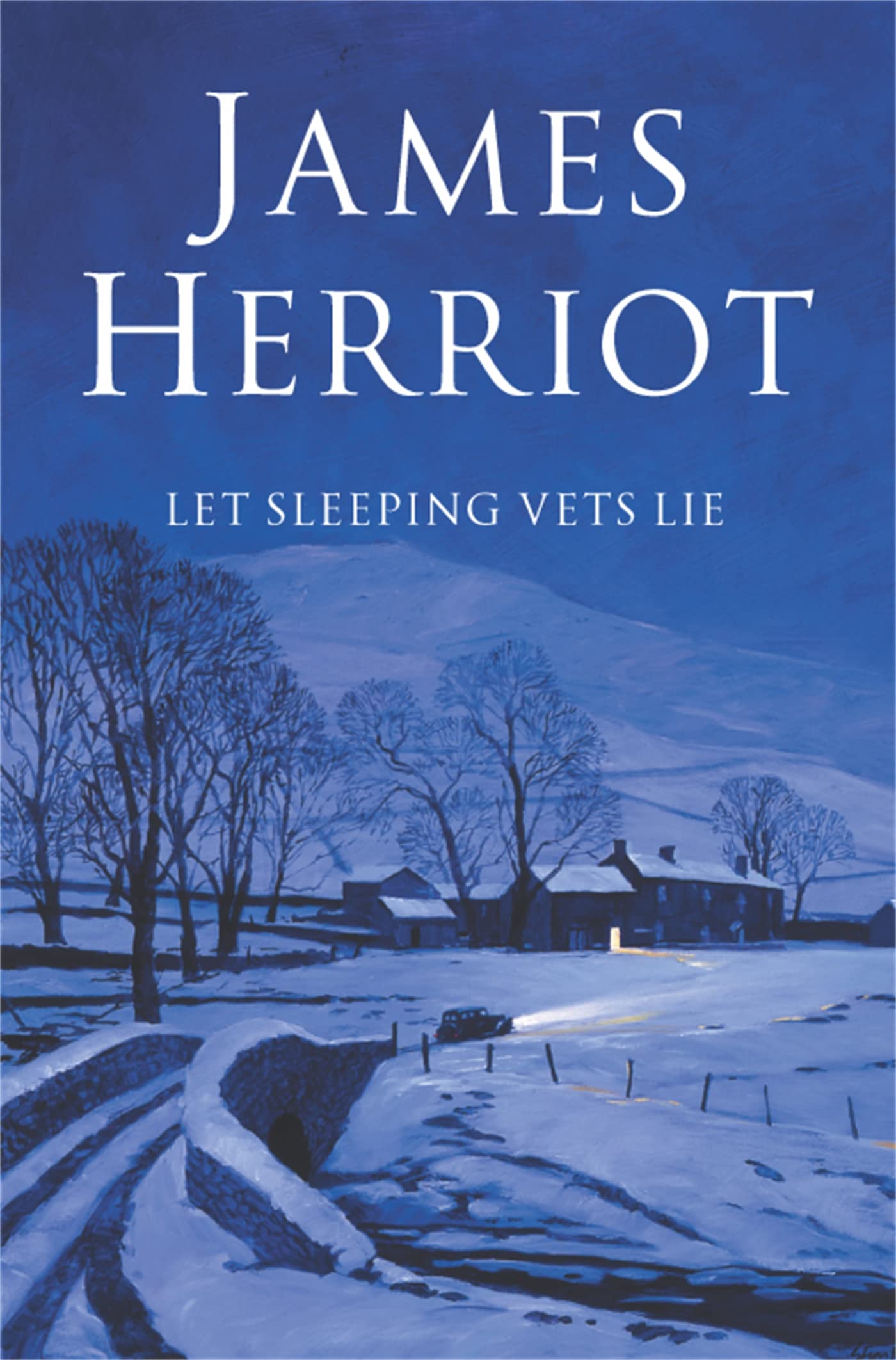 Product Image: Let Sleeping Vets Lie