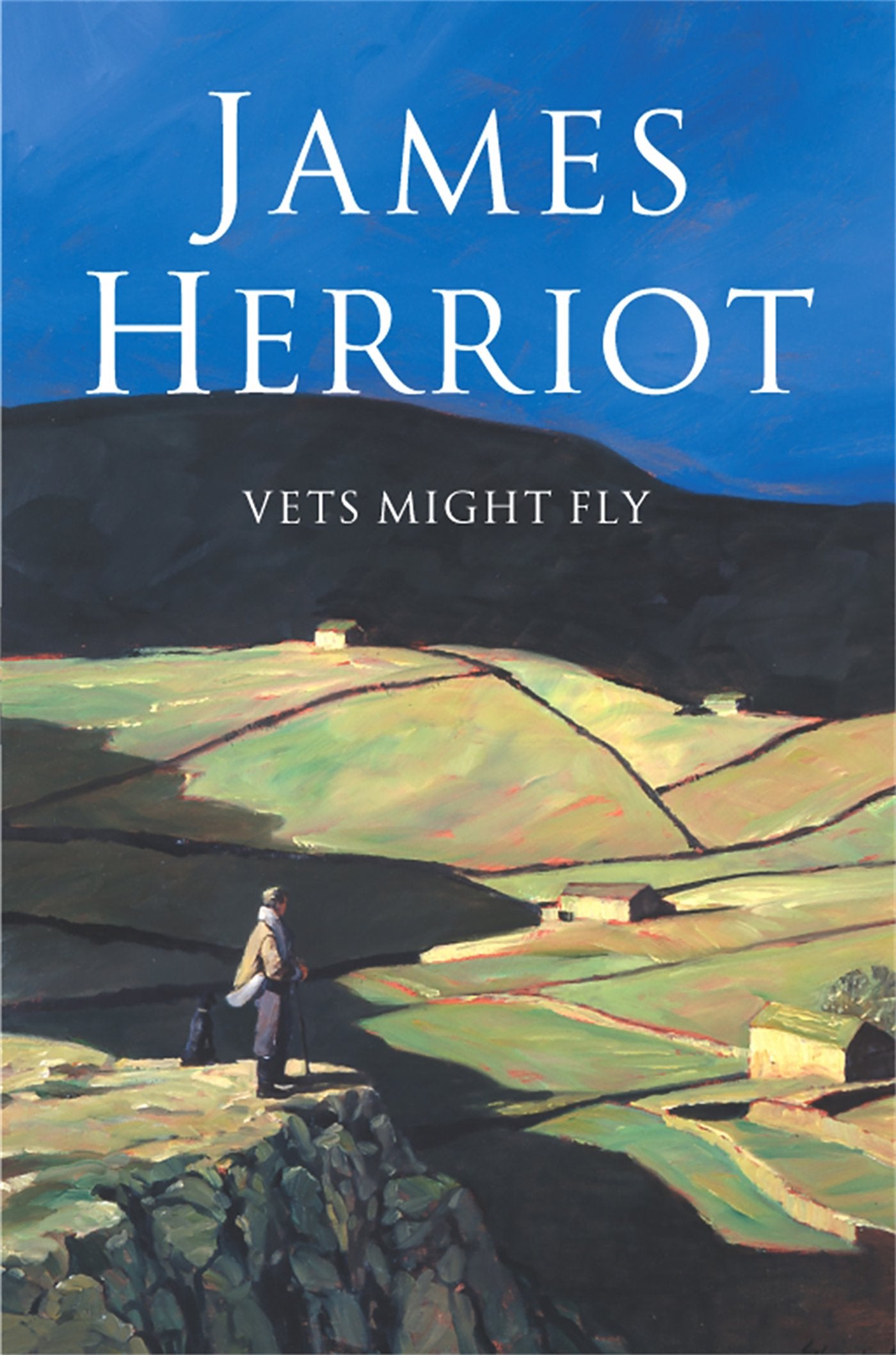 Vets Might Fly Medicine