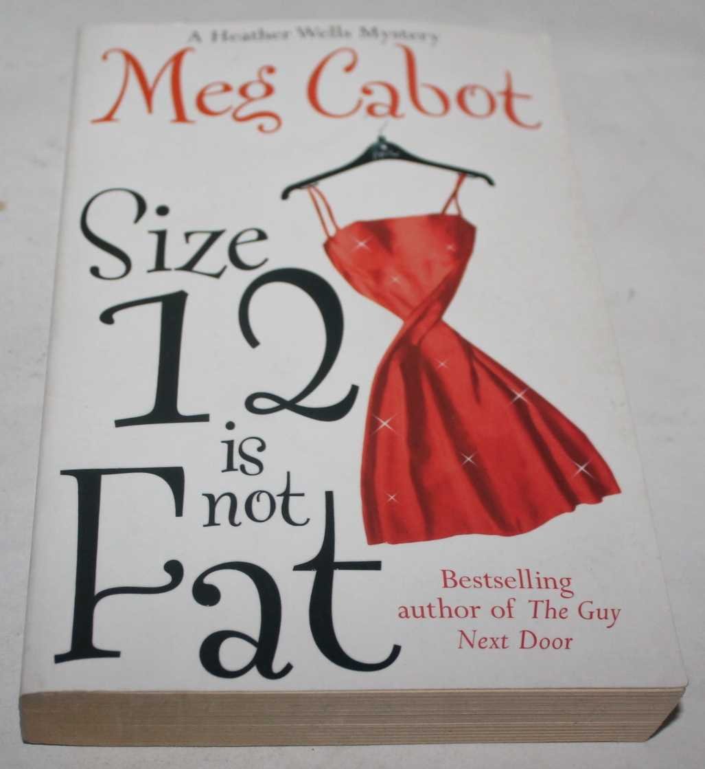 Size 12 is Not Fat Contemporary literature Books