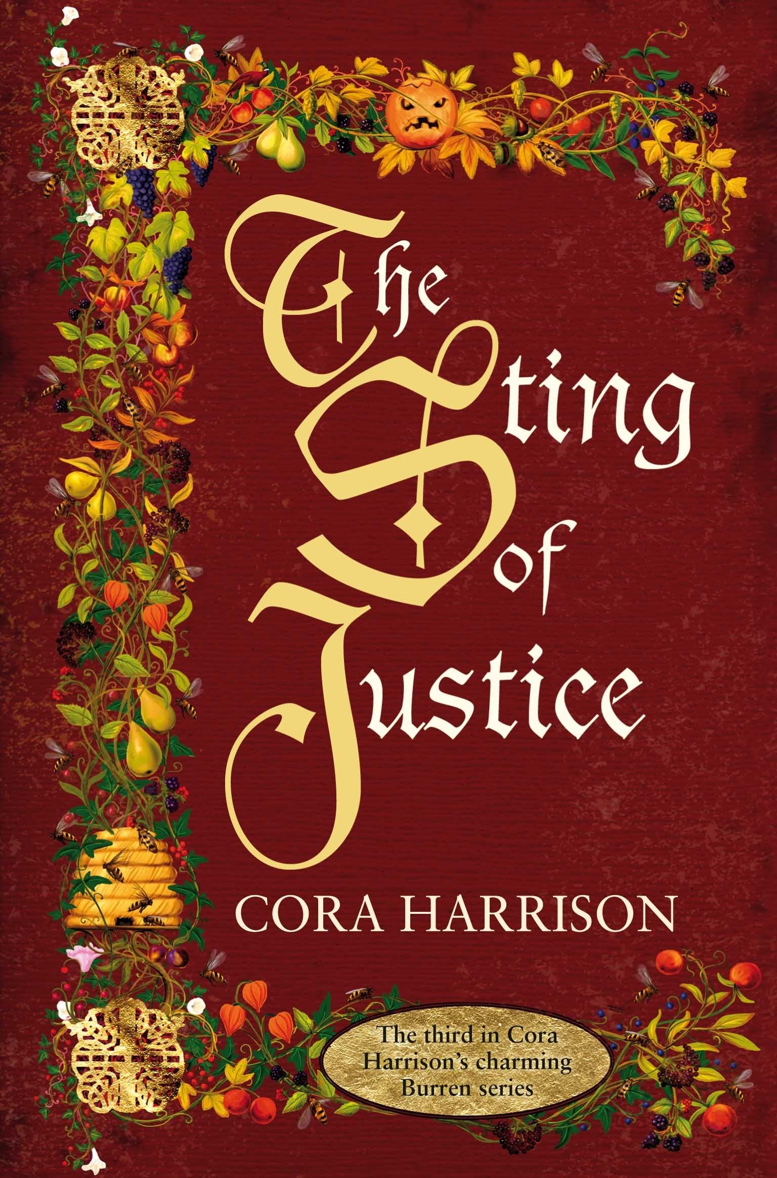 The Sting of Justice (The Burren Mysteries, 3) Contemporary literature