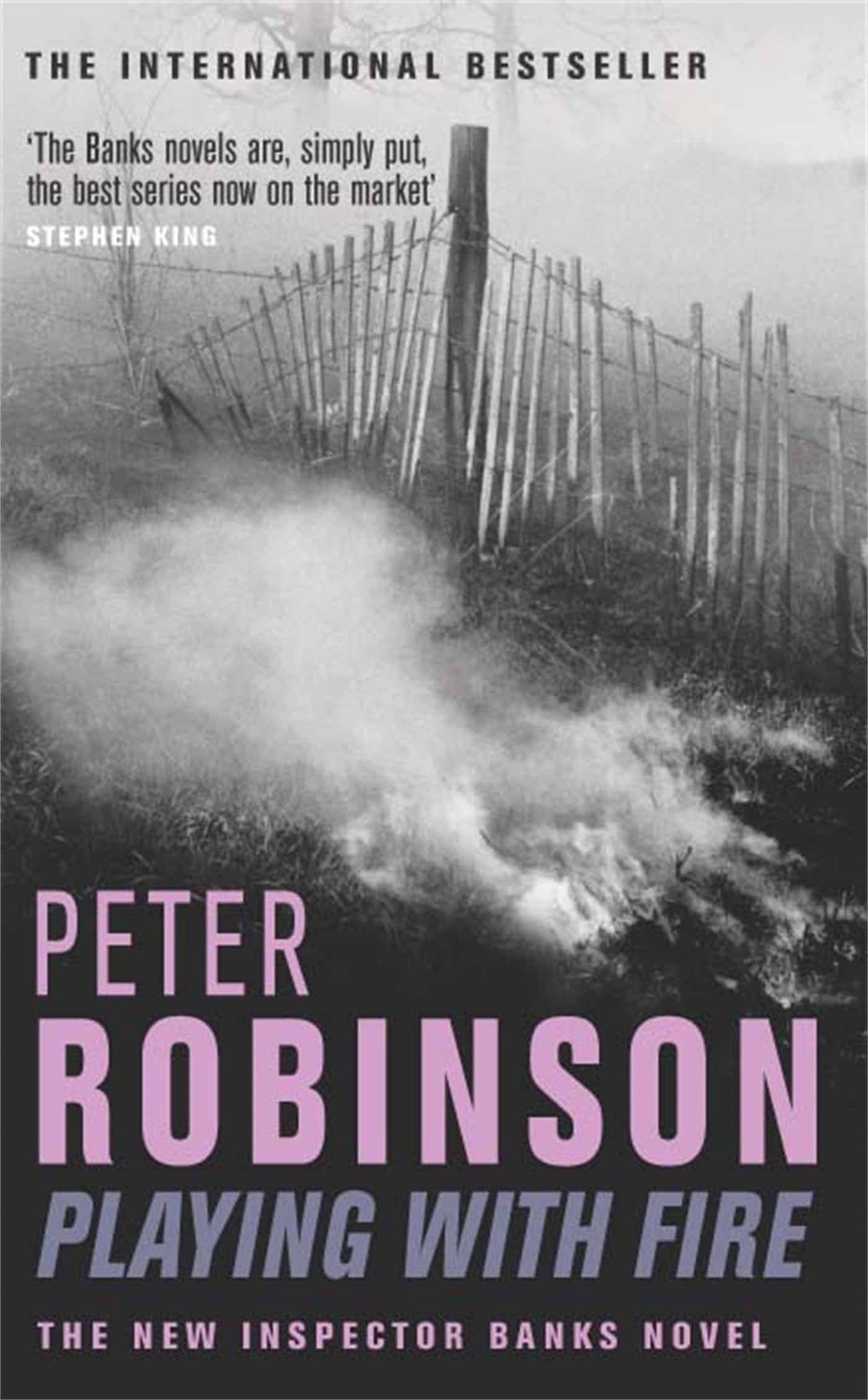 Playing With Fire: An Inspector Banks Mystery (The Inspector Banks series, 14) Contemporary literature