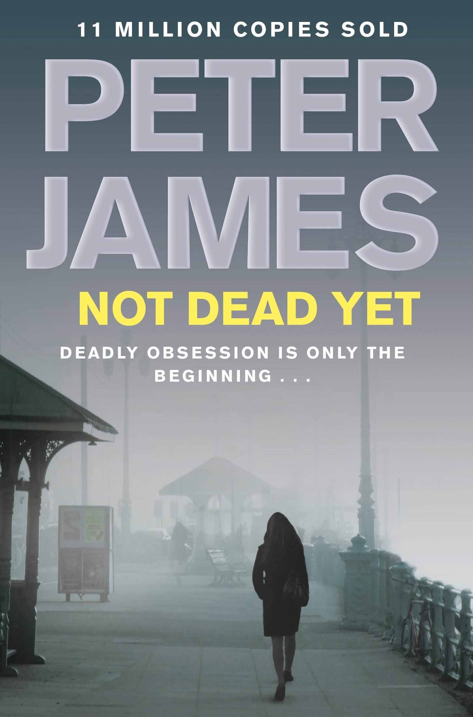 Not Dead Yet Contemporary literature Books