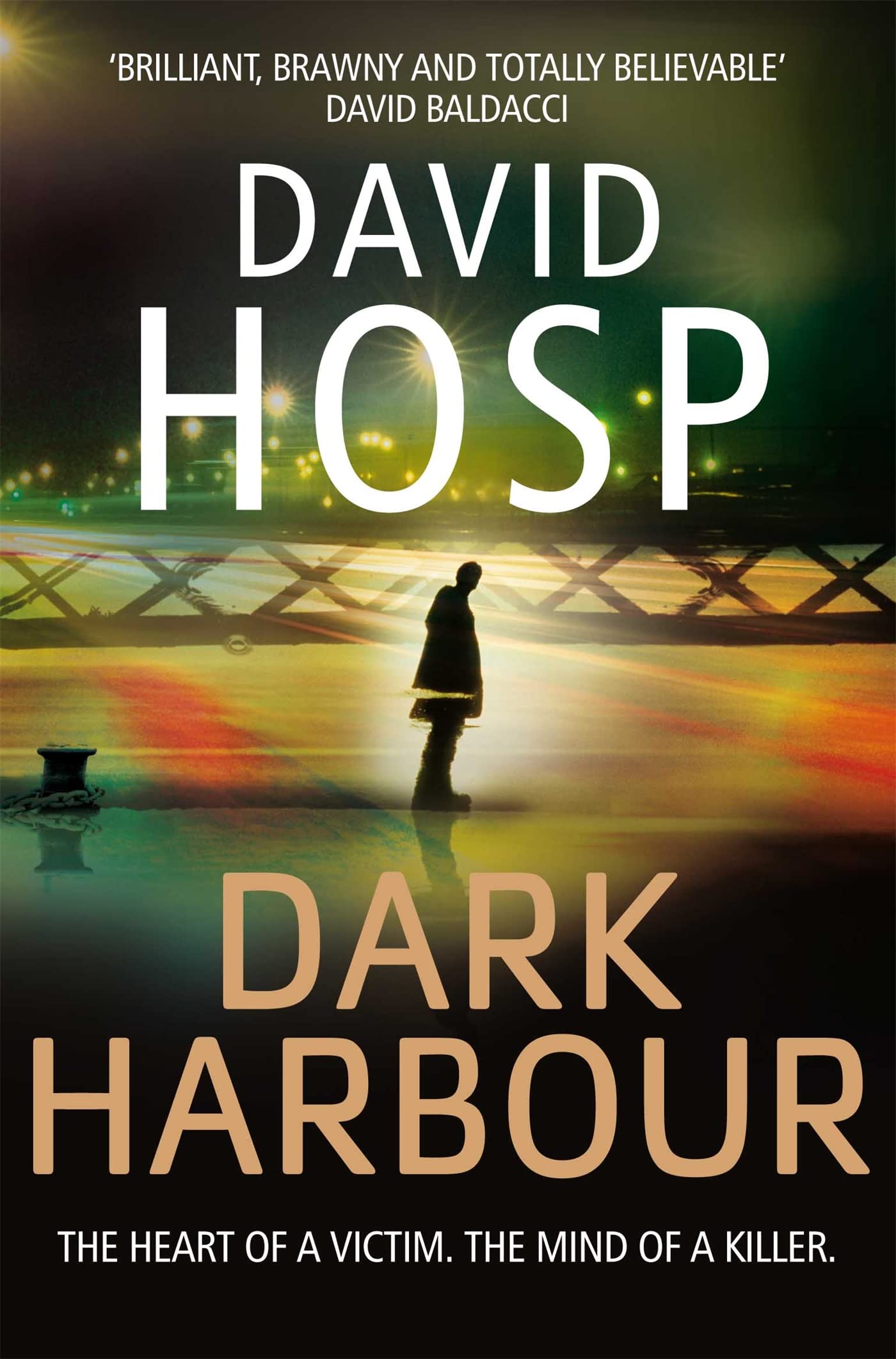 Dark Harbour Contemporary literature