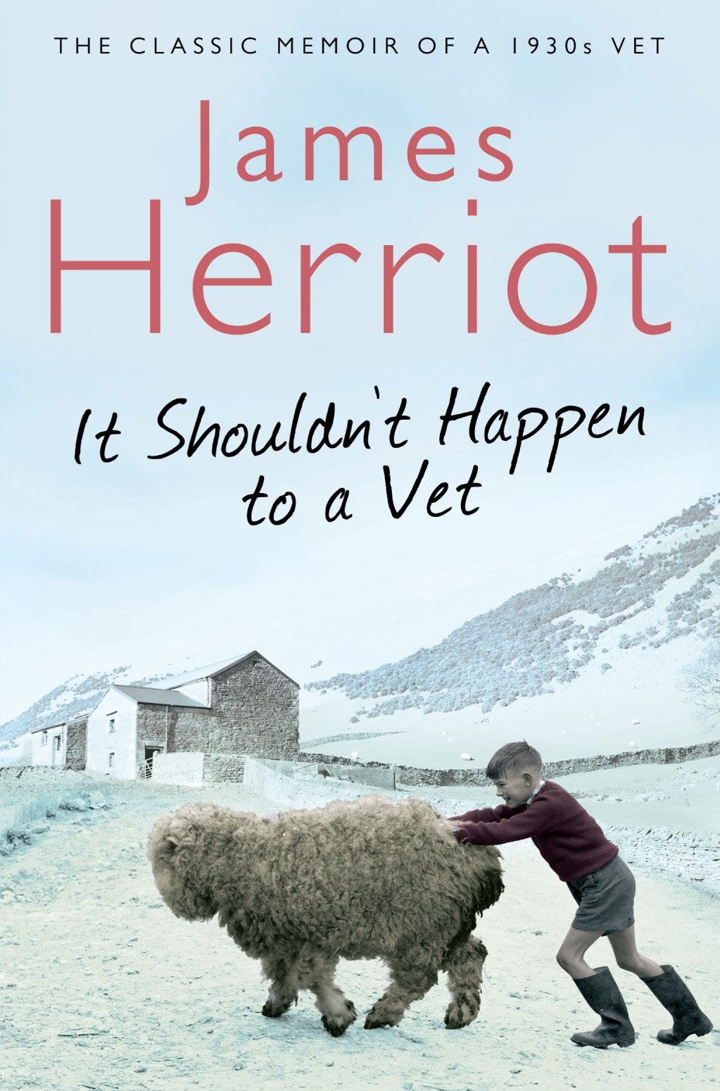 It Shouldn't Happen to a Vet Medicine
