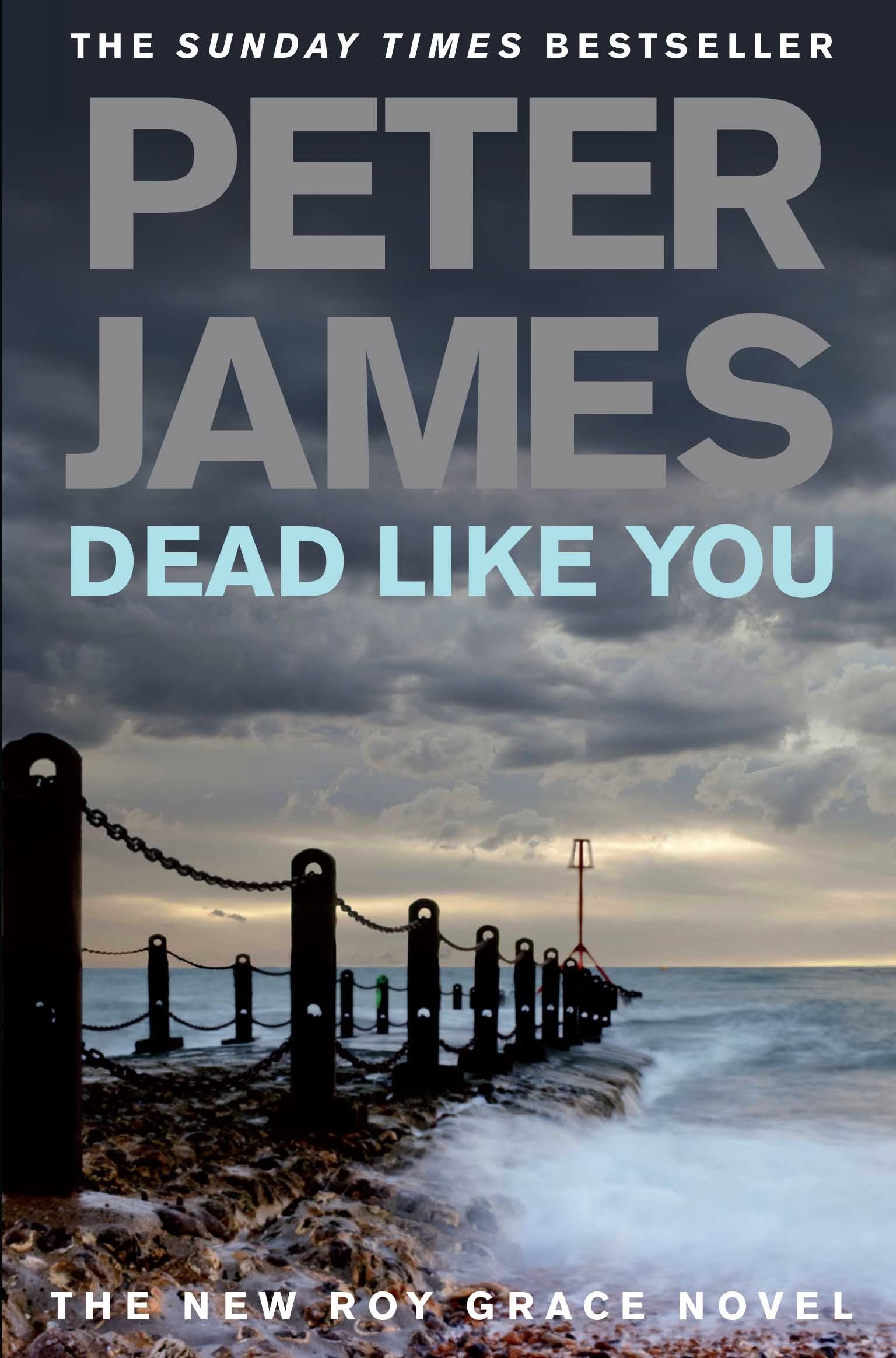 Dead Like You Contemporary literature Books