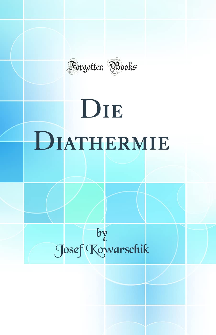 Die Diathermie (Classic Reprint) Business & Technology