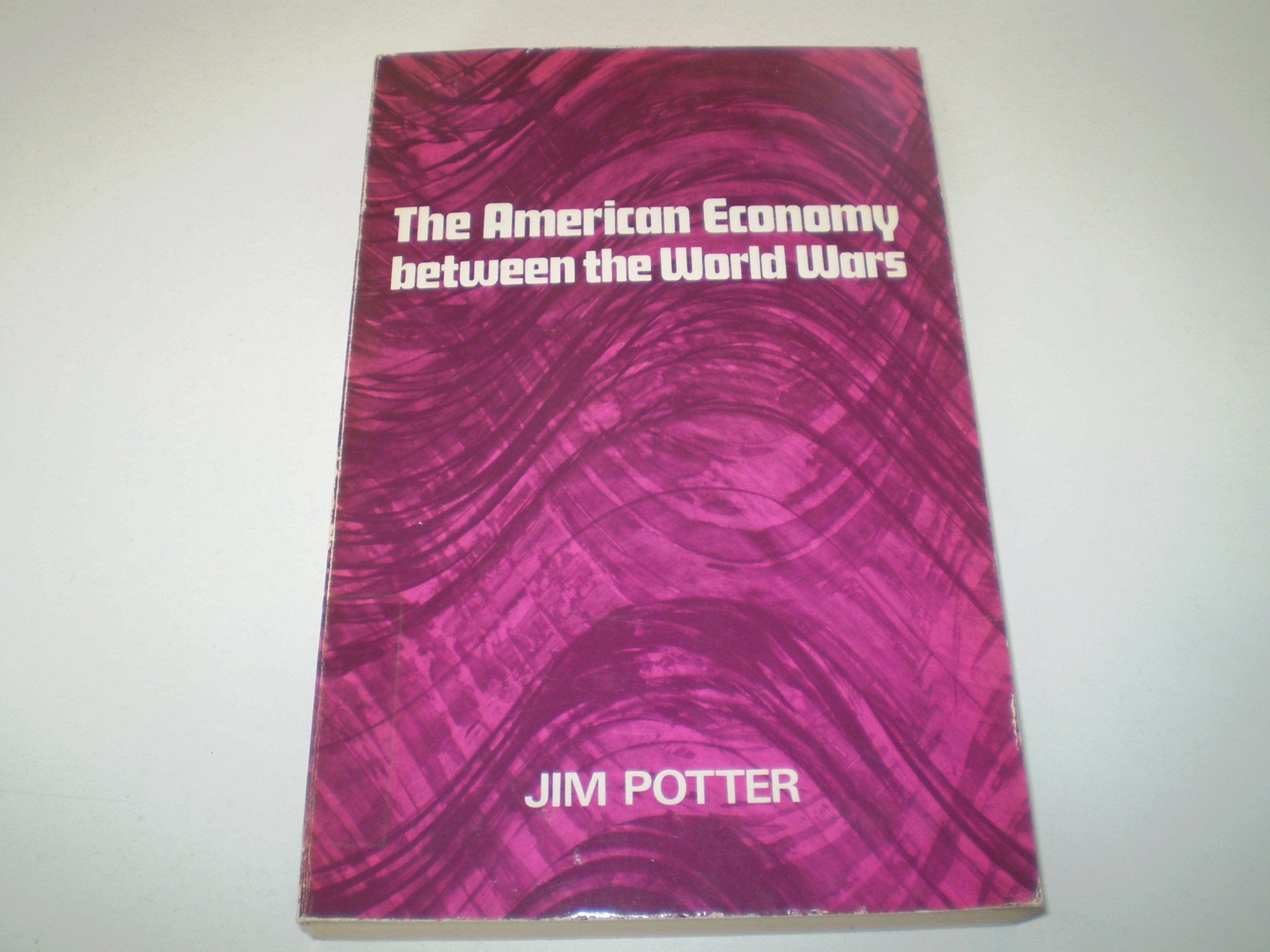 American Economy Between the World Wars Books