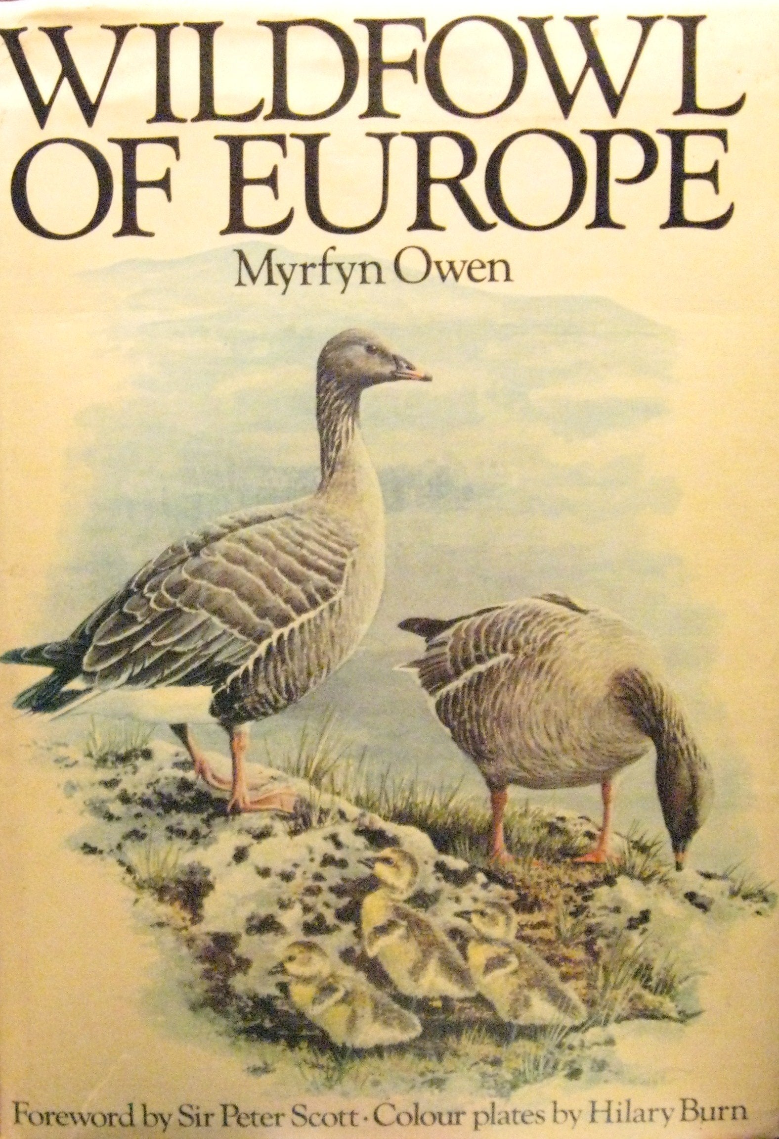 Wildfowl of Europe book