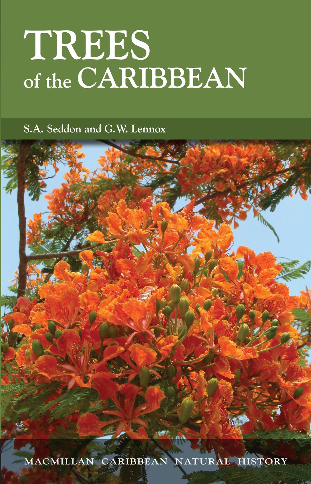 Trees of the Caribbean Mathematics