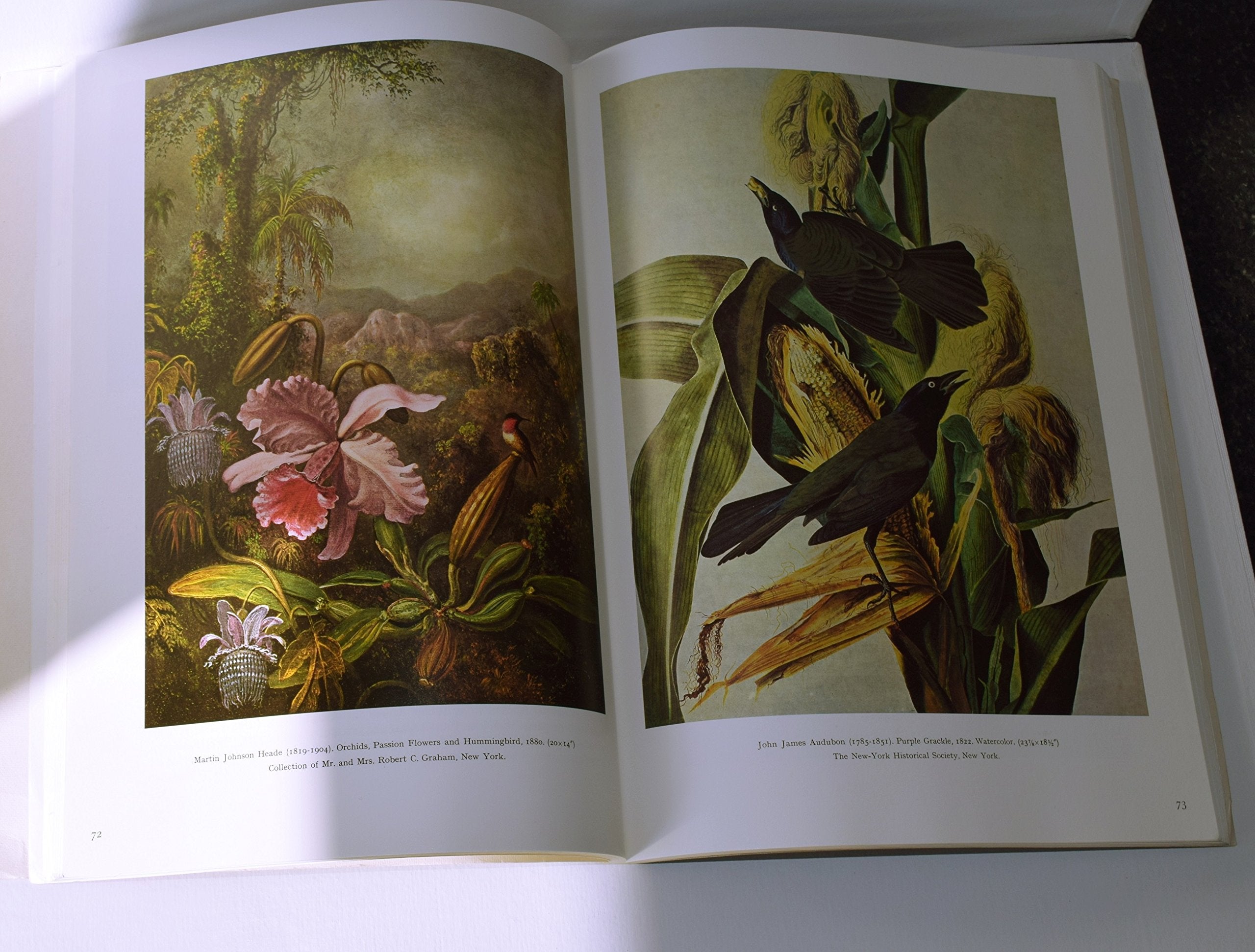Colonial Tradition (v. 1) (American Painting) Books