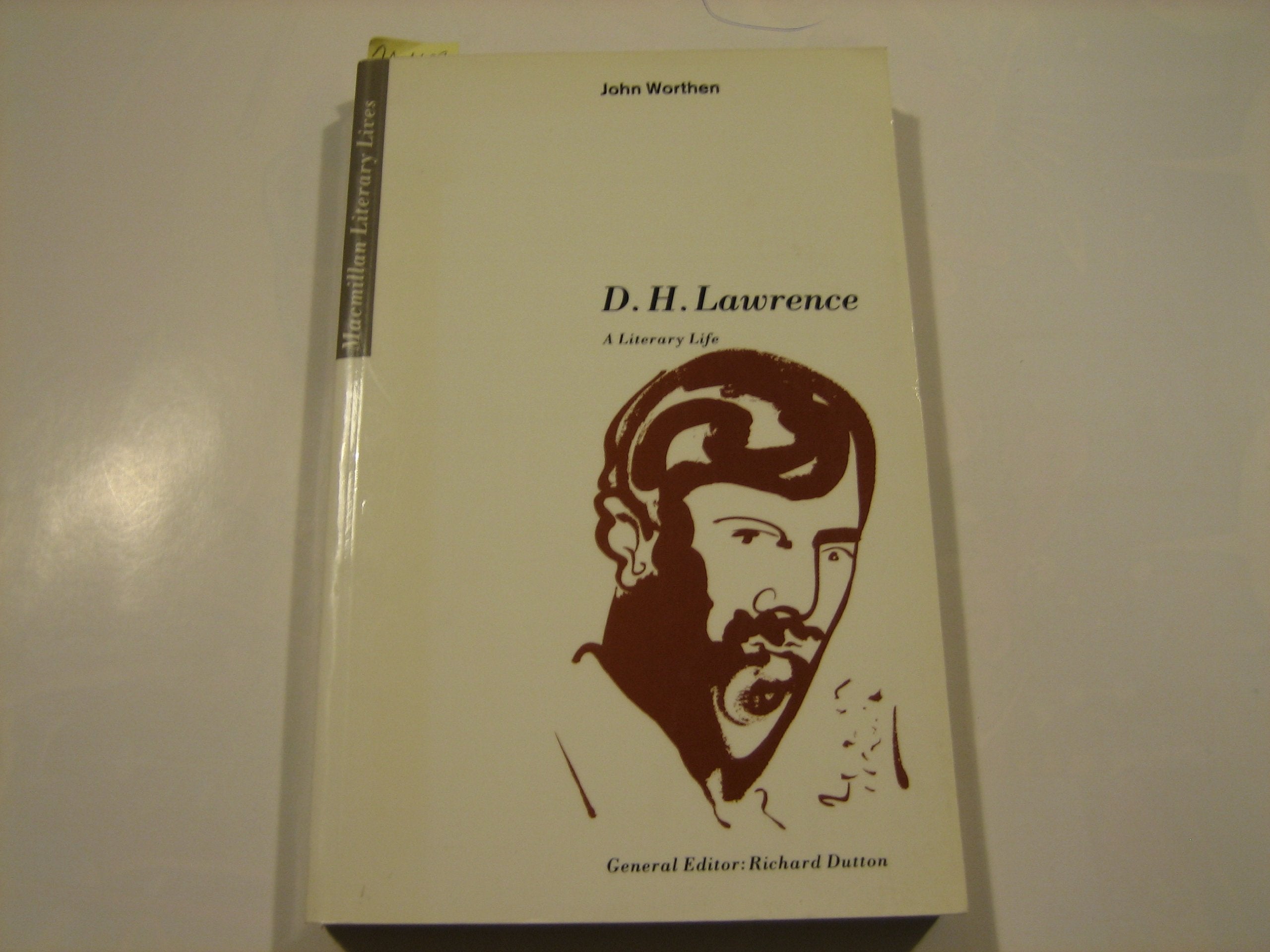 D.H.Lawrence: A Literary Life (Macmillan Literary Lives) Contemporary literature