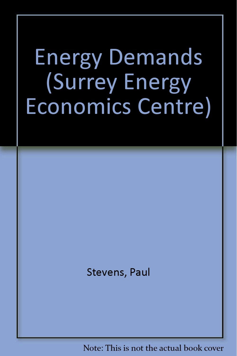 Energy Demands (Surrey Energy Economics Centre) Business, Finance & Career