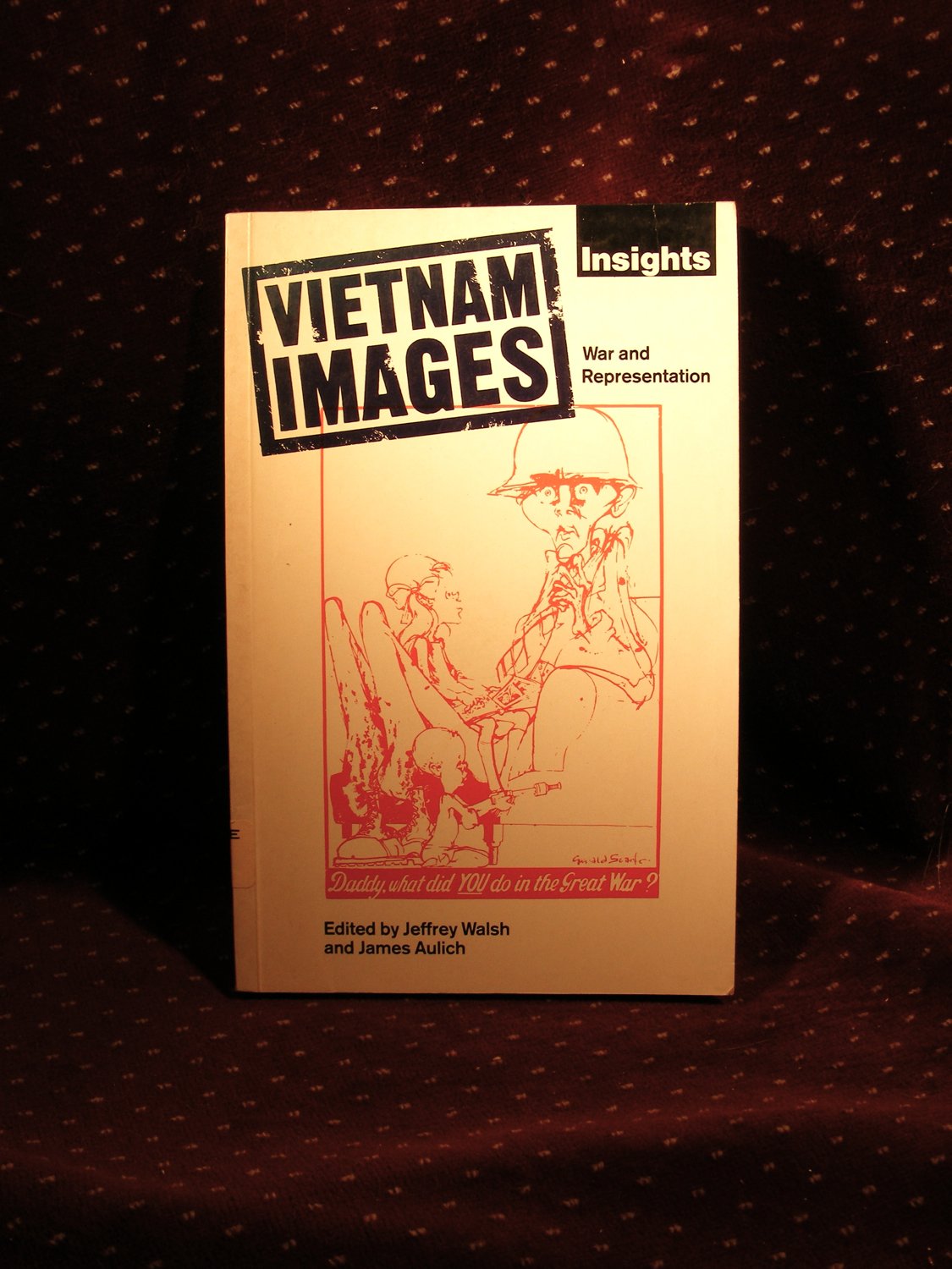 Vietnam Images: War and Representation (International picture library) Contemporary literature