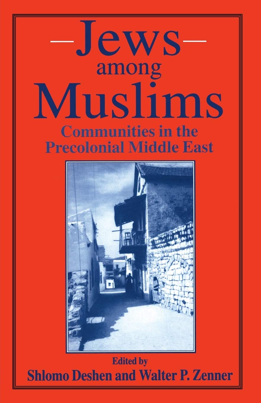 Jews among Muslims: Communities in the Precolonial Middle East book