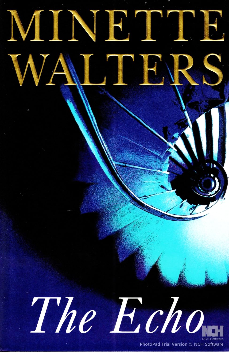 The Echo Contemporary literature Books
