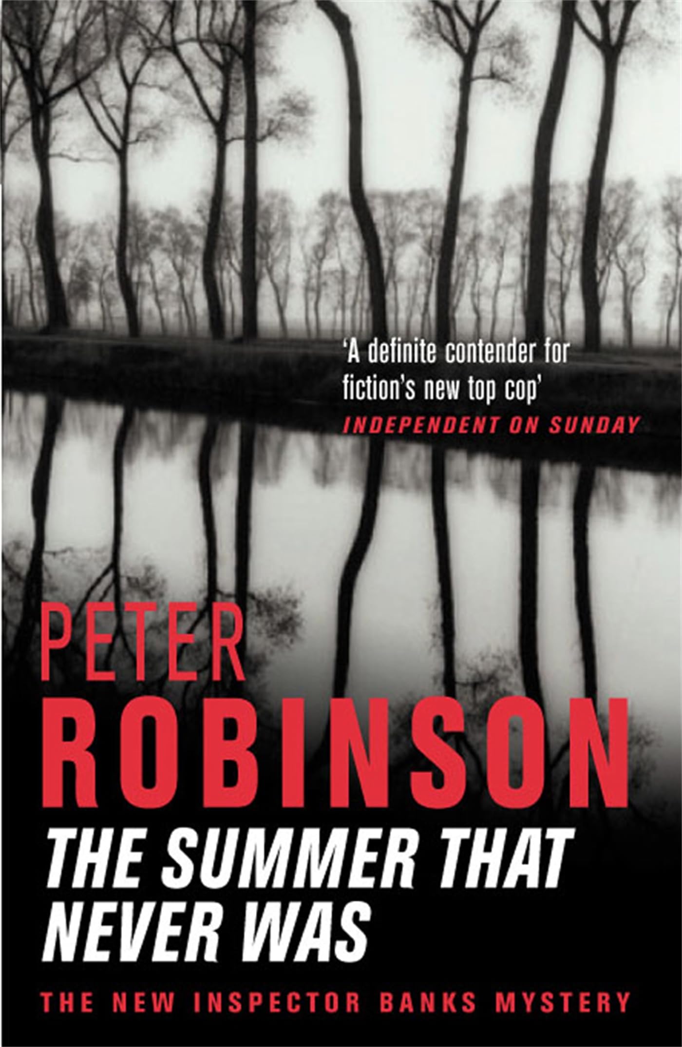The Summer That Never Was: The 13th novel in the number one bestselling Inspector Alan Banks crime series (The Inspector Banks series, 13) Contemporary literature