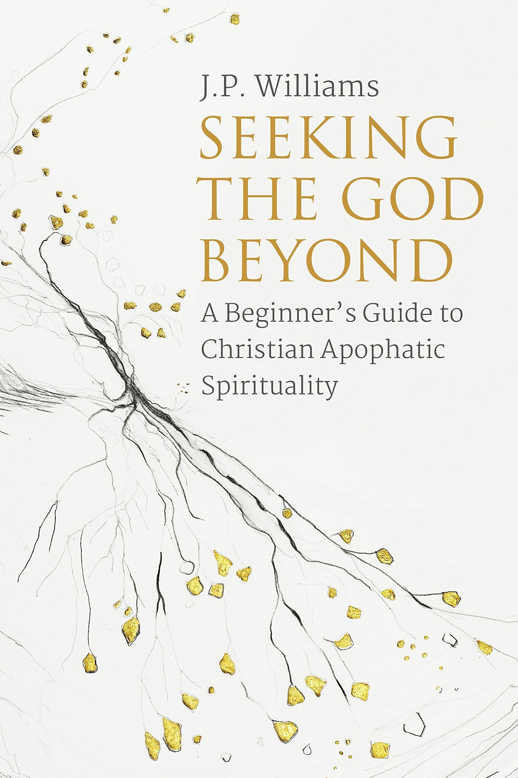 Seeking the God Beyond: A Beginner's Guide to Christian Apophatic Spirituality Religion & Esotericism