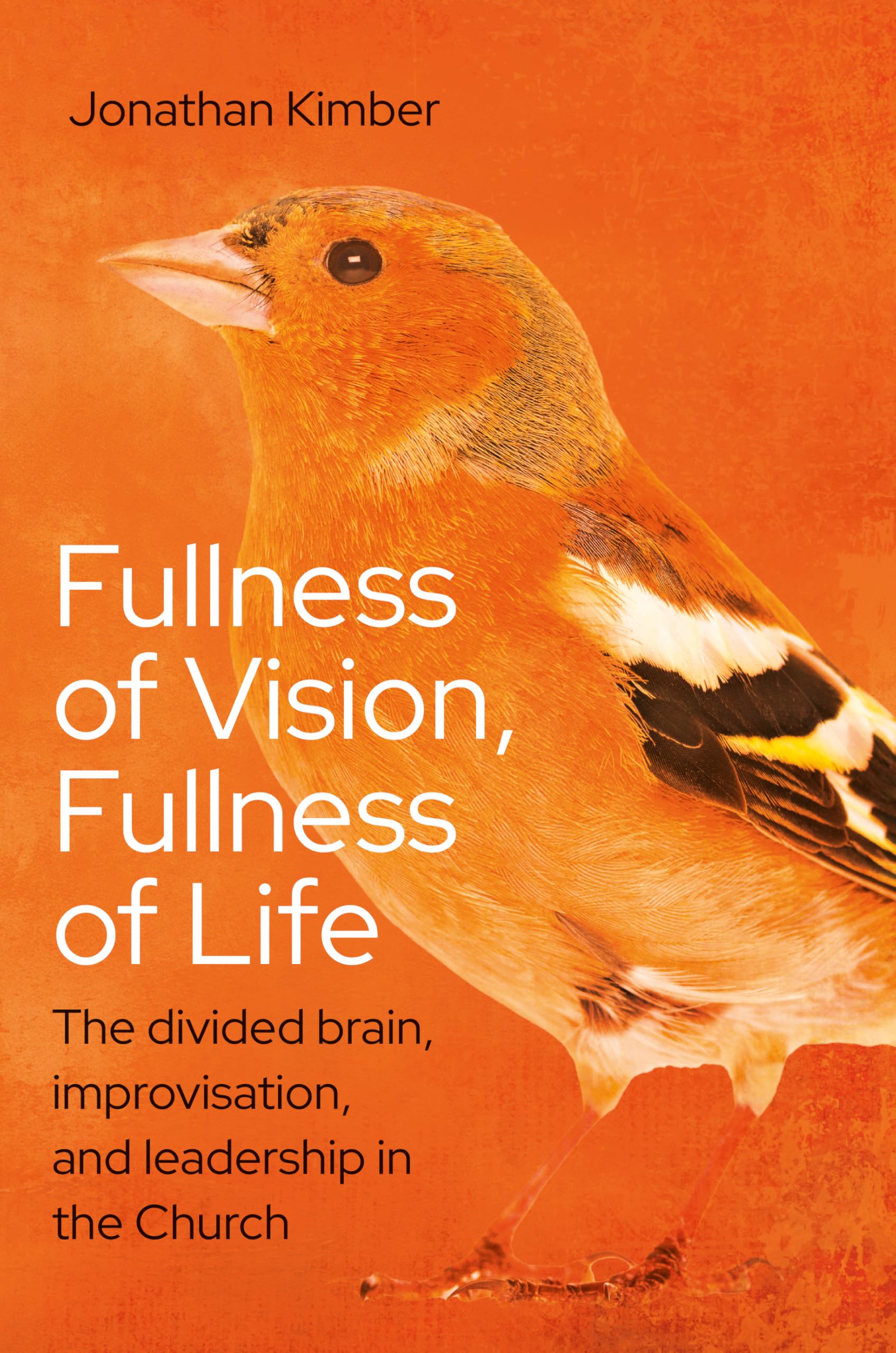 Fullness of Vision, Fullness of Life Religion & Esotericism