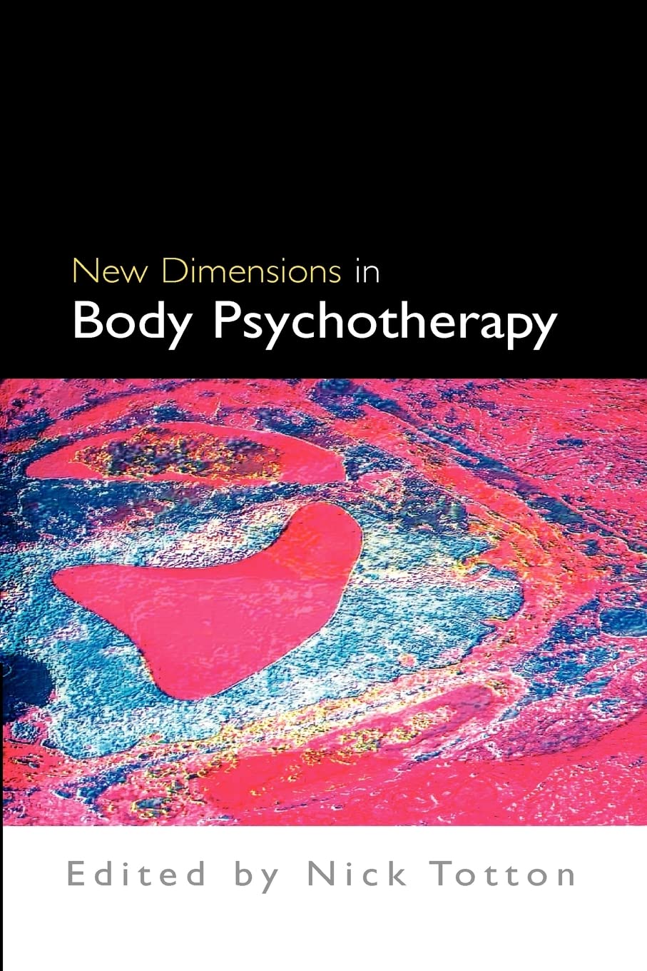 New Dimensions In Body Psychotherapy book