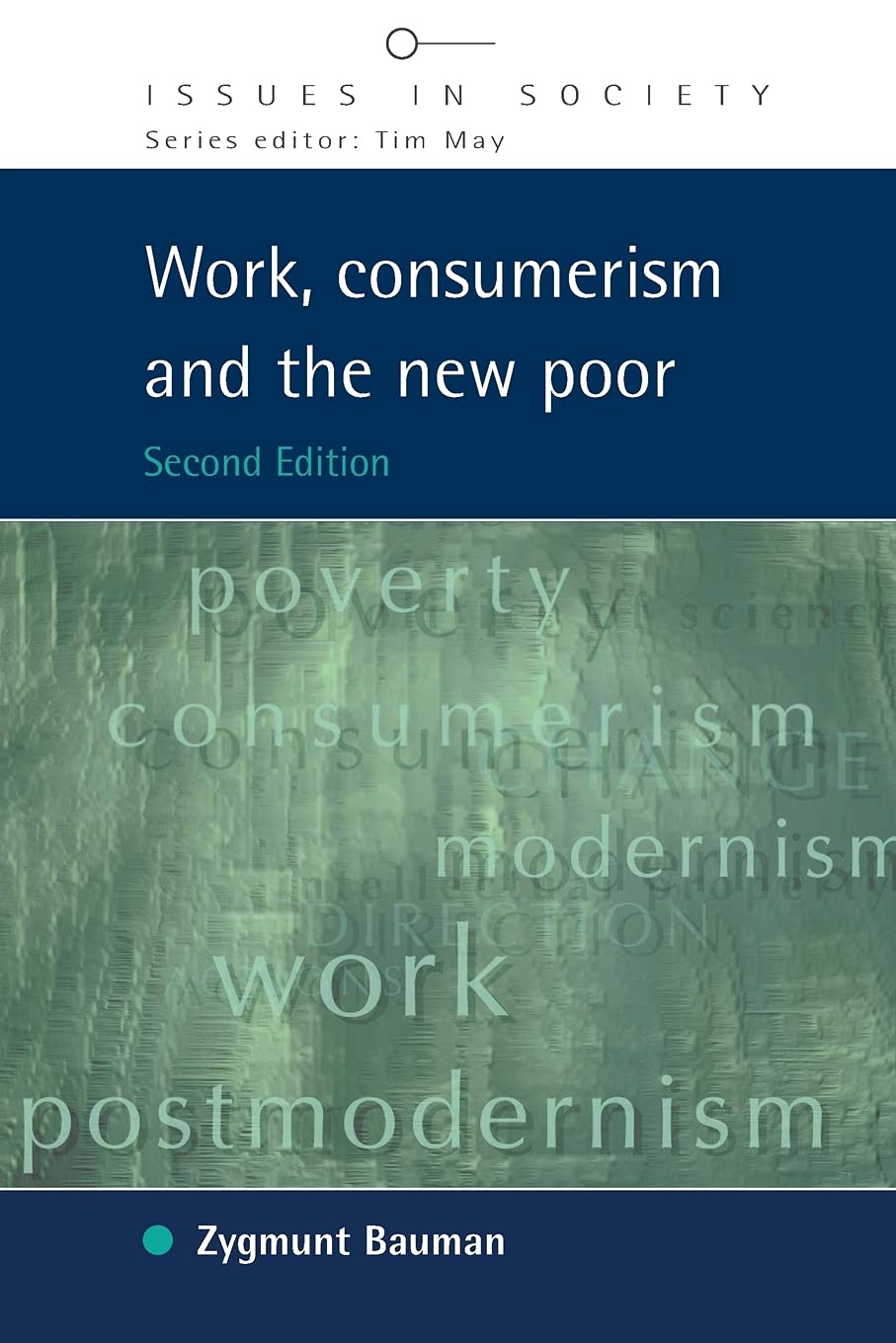 Work, Consumerism and the New Poor (Issues in Society) Books