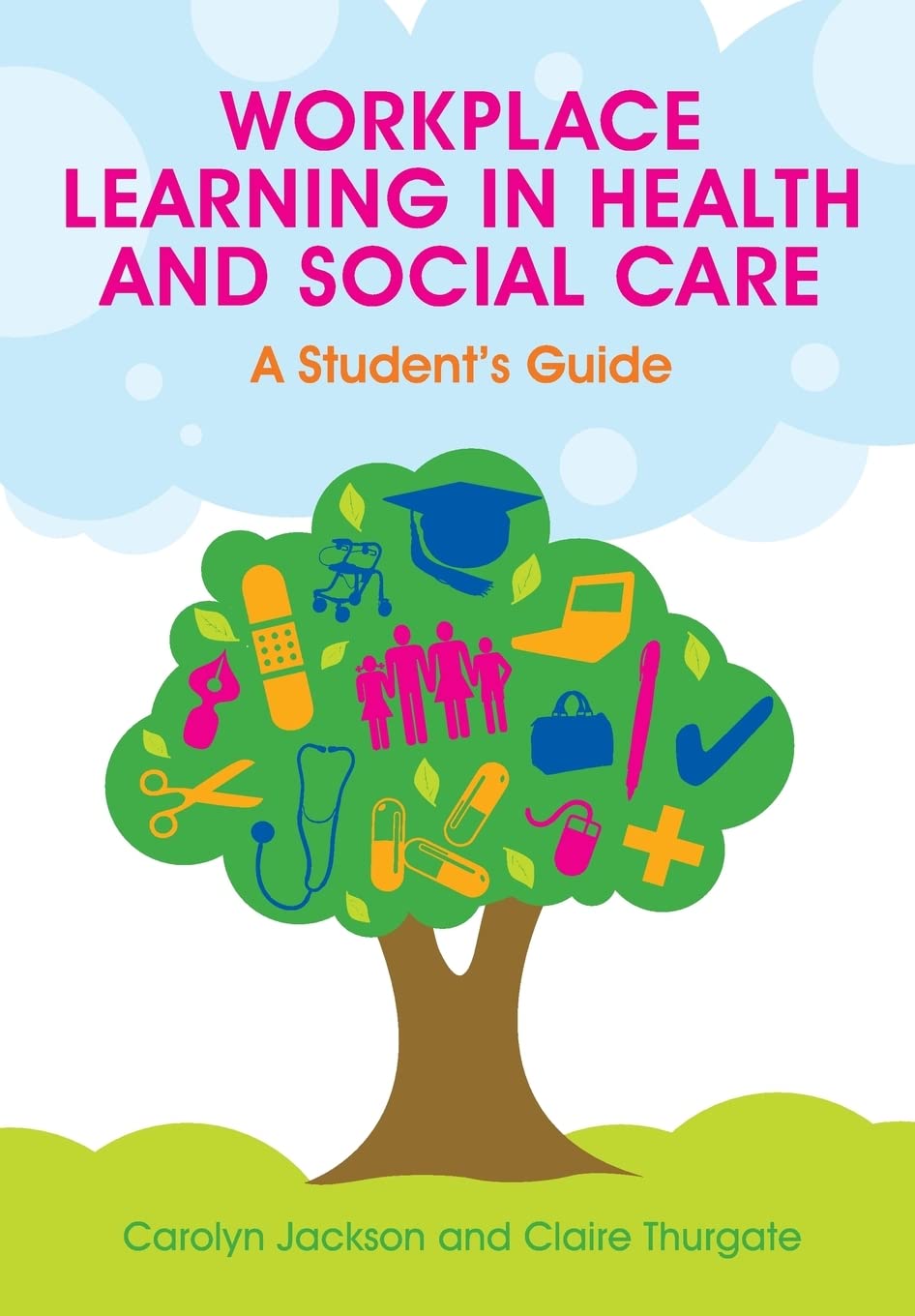 Workplace learning in health and social care: a student's guide: A Student's Guide Medicine