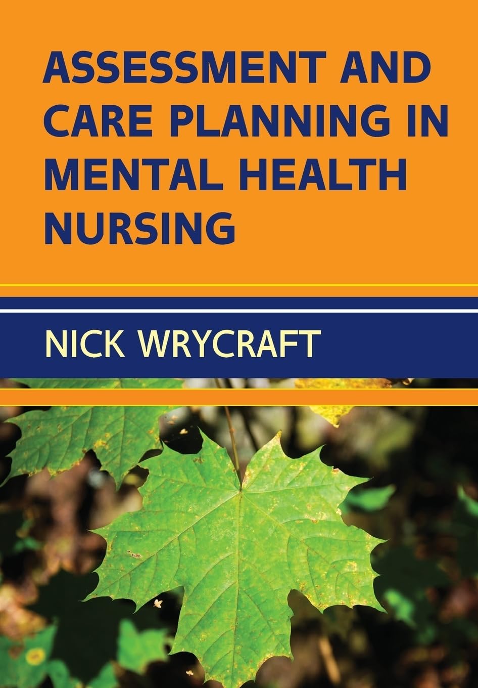 Assessment And Care Planning In Mental Health Nursing book