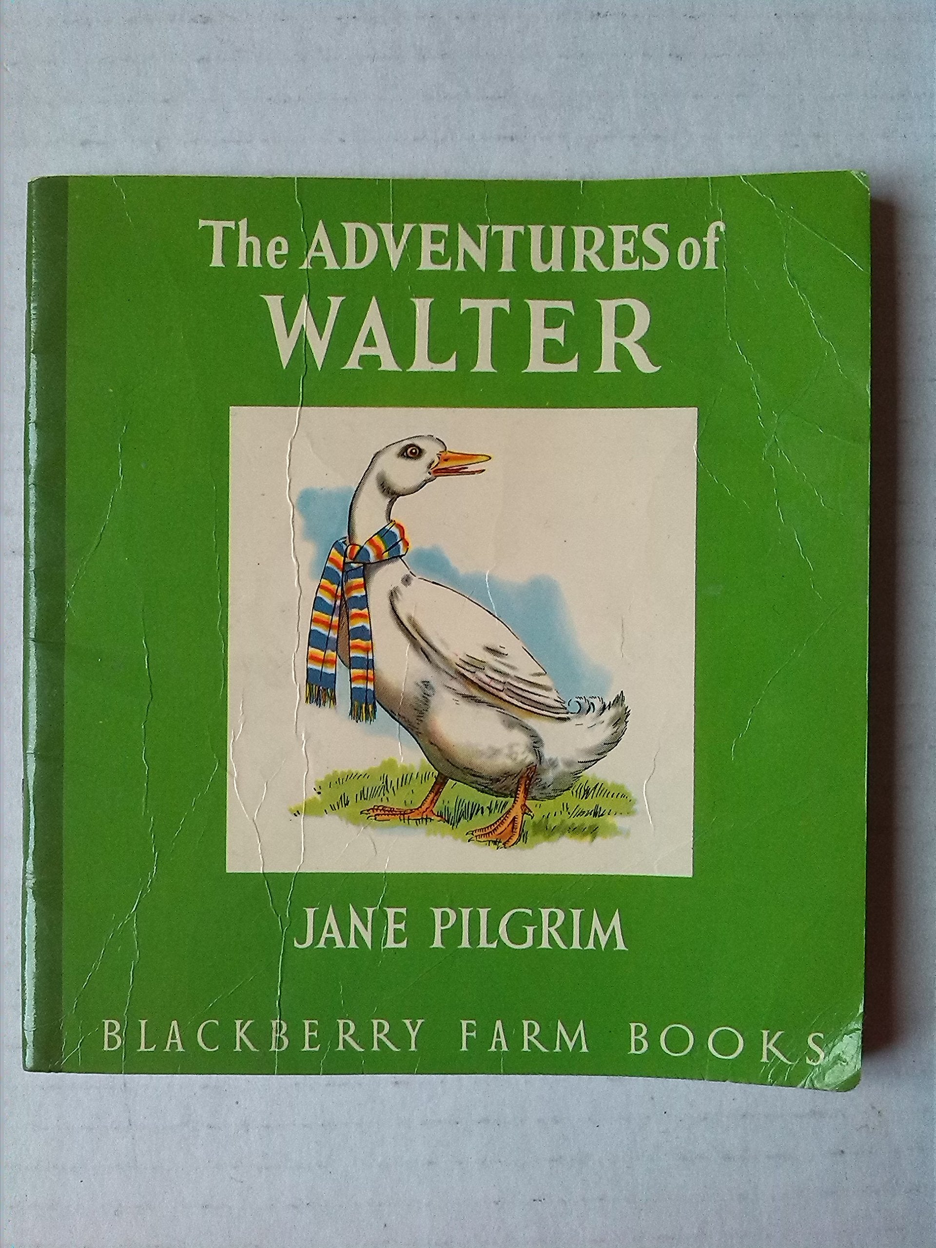 The Adventures of Walter (Little Books) Novels & Short Stories