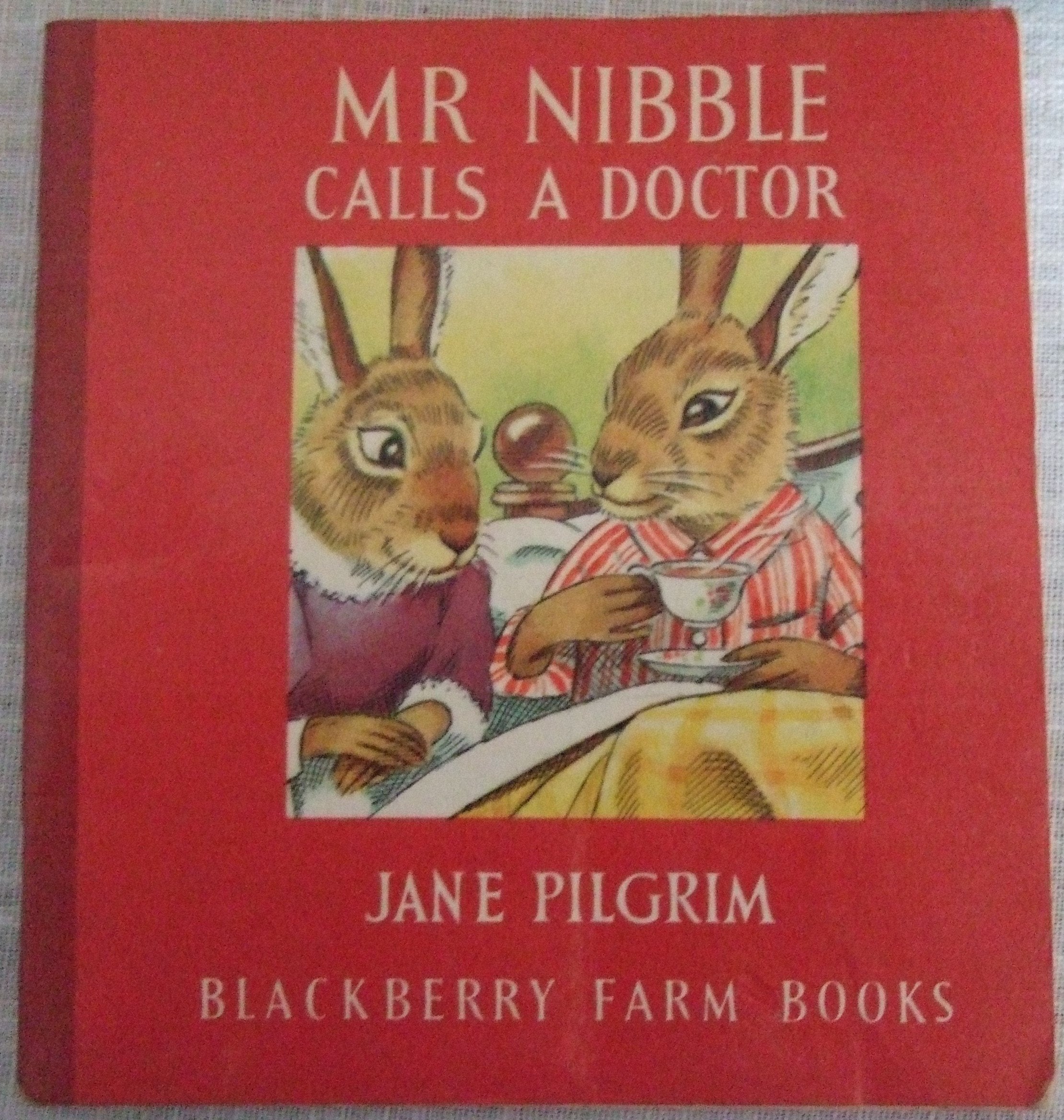 Product Image: Mr. Nibble Calls the Doctor