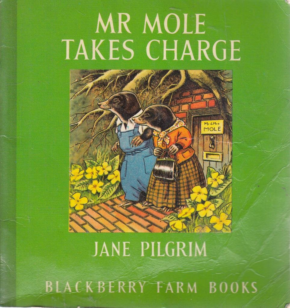 Mister Mole Takes Charge (Little Books) Novels & Short Stories