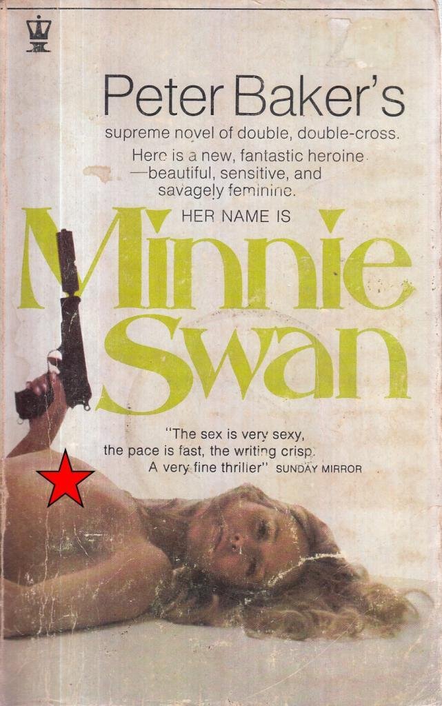 Minnie Swan Books