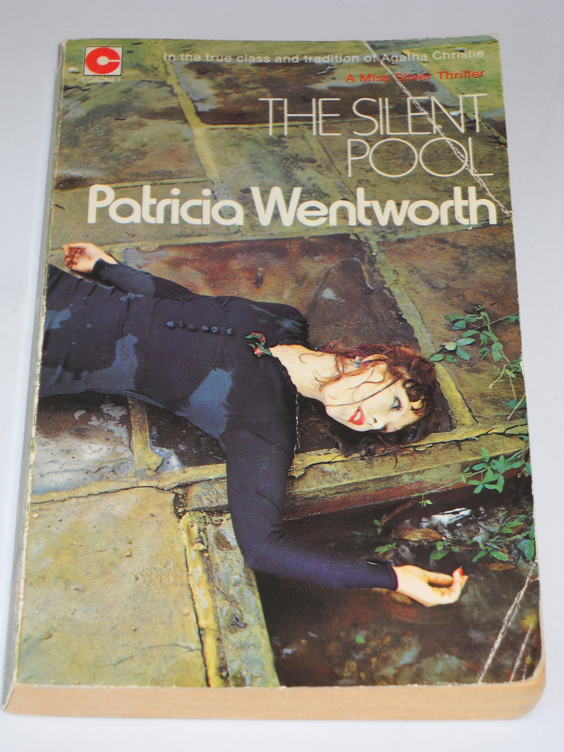 Silent Pool (Coronet Books) Contemporary literature