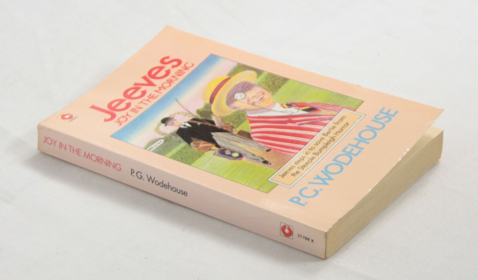 Joy in the Morning (Coronet Books) Books