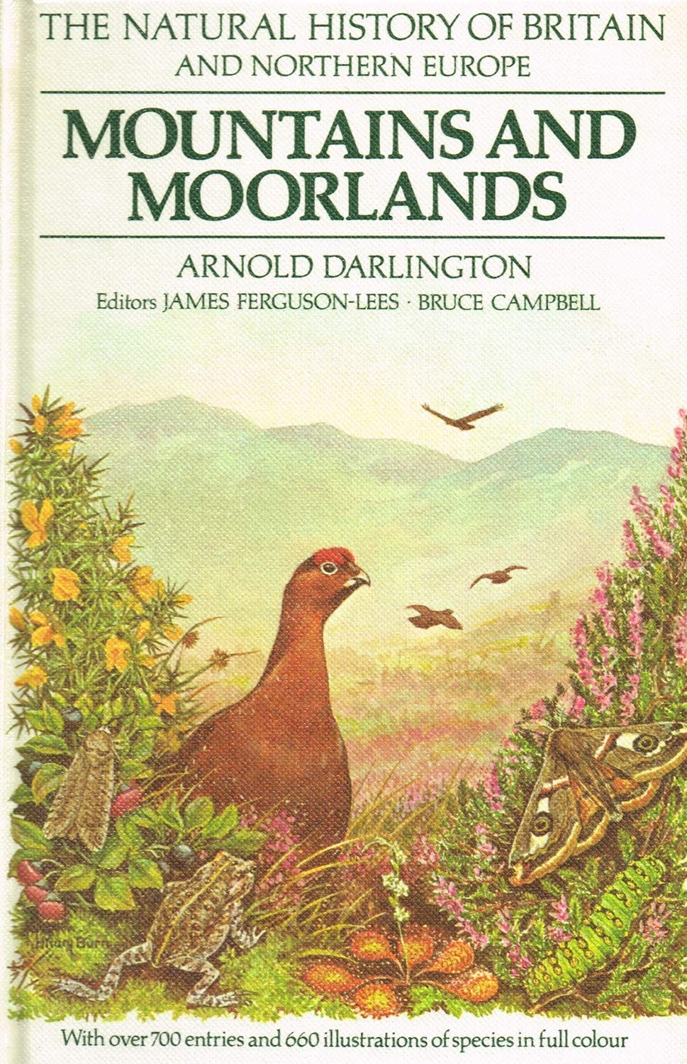 Mountains and Moorlands (Natural History of Britain & North Europe) Natural Sciences