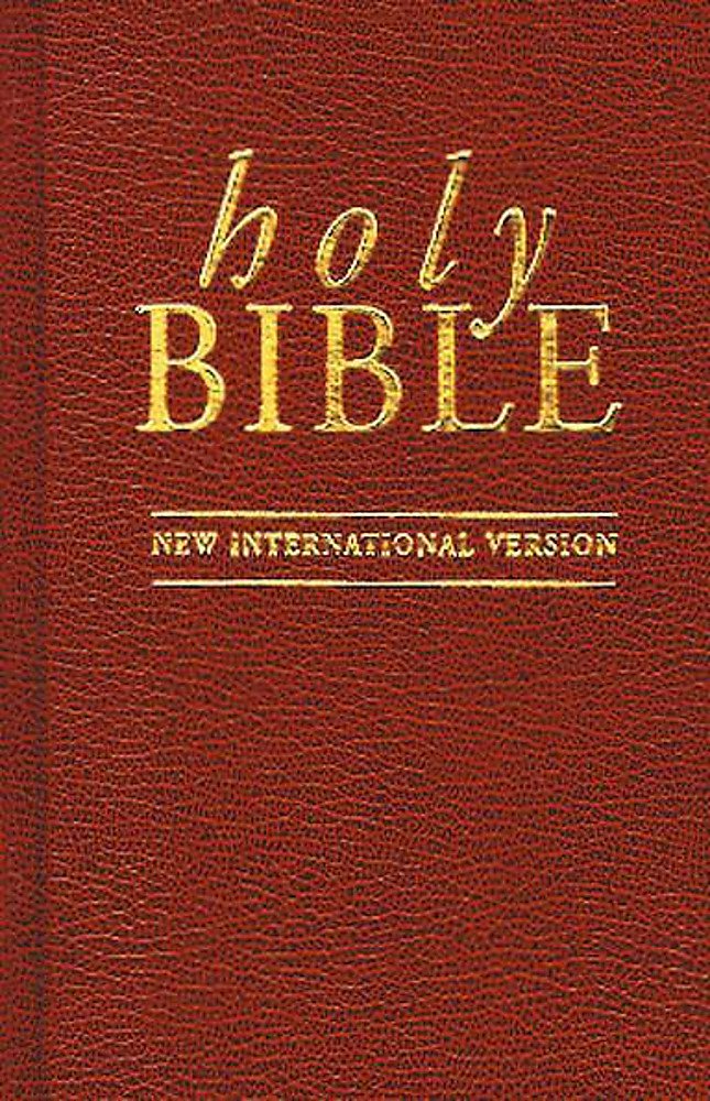 New International Version (Bible) Religion & Esotericism