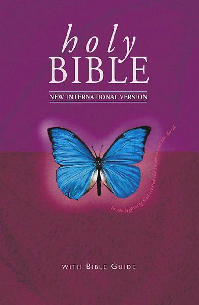 Product Image: NIV Popular Bible