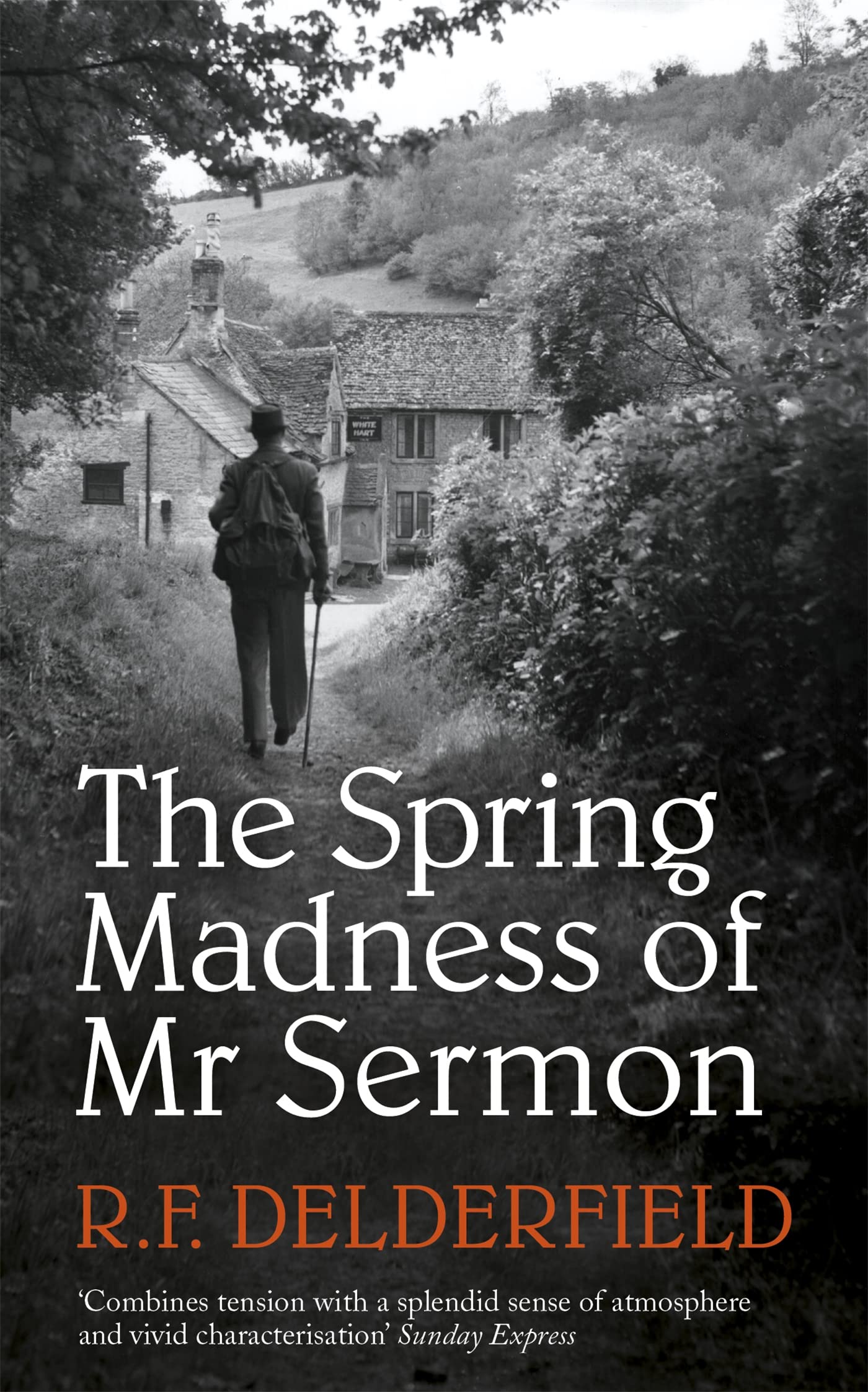 The Spring Madness of Mr Sermon book