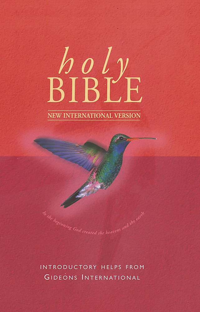 New International Version (Bible) Religion & Esotericism
