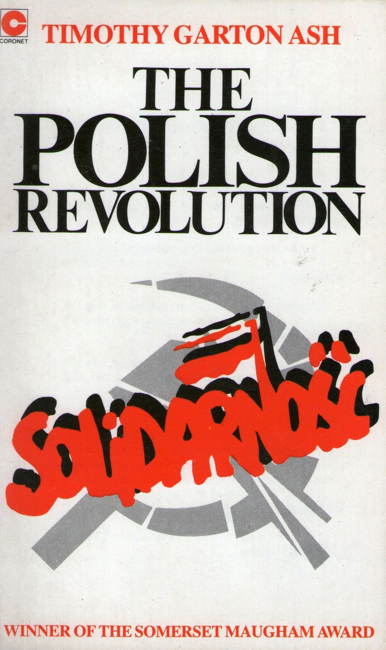 The Polish Revolution: Solidarity, 1980-82 book