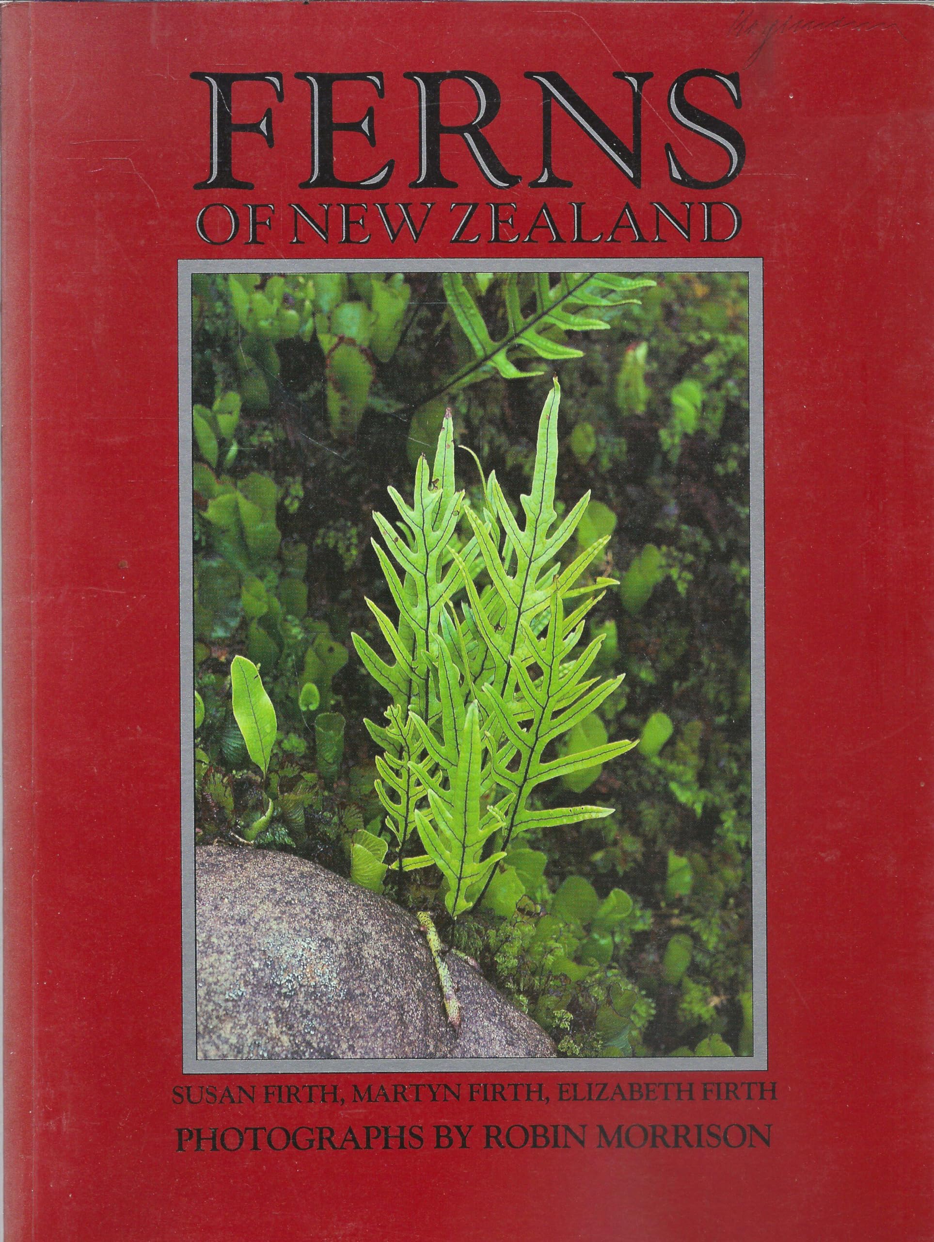 Ferns of New Zealand Mathematics