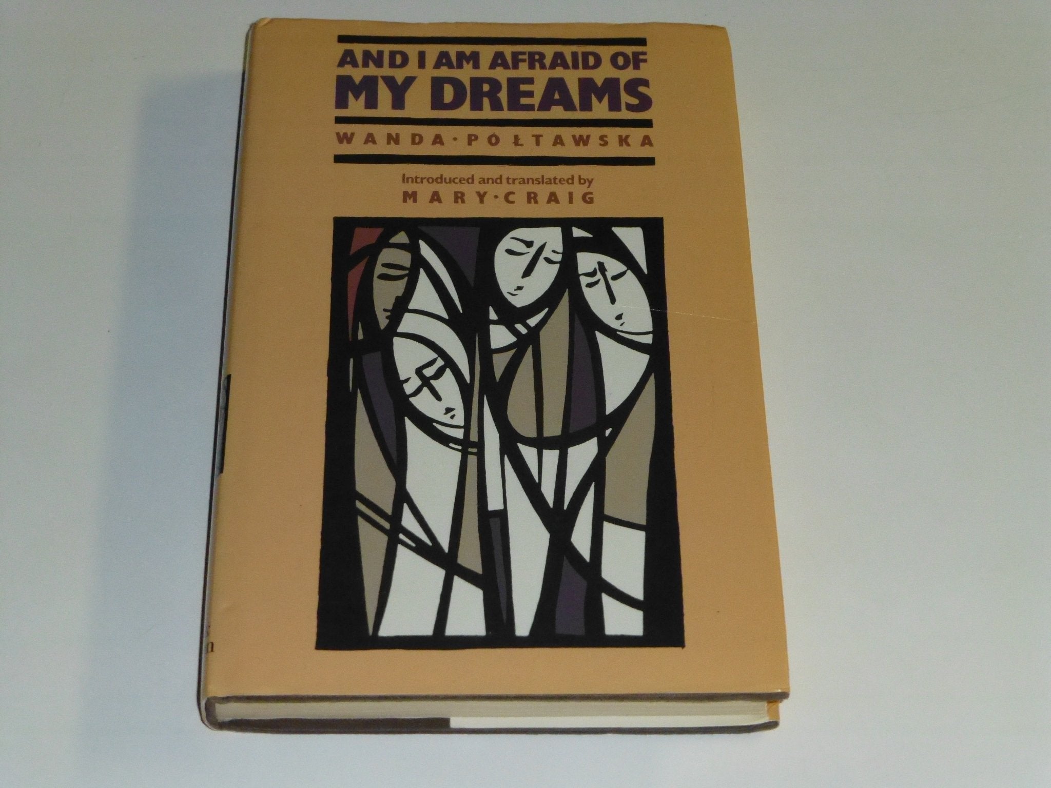 And I am Afraid of My Dreams book