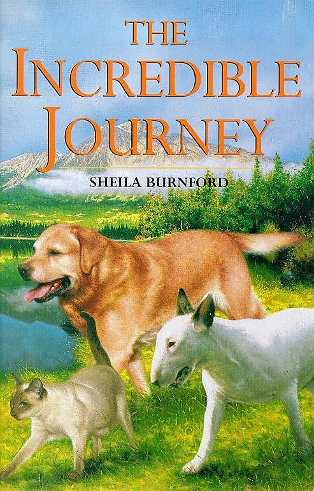 Incredible Journey (Children's Classics and Modern Classics, Band 7) Novels & Short Stories