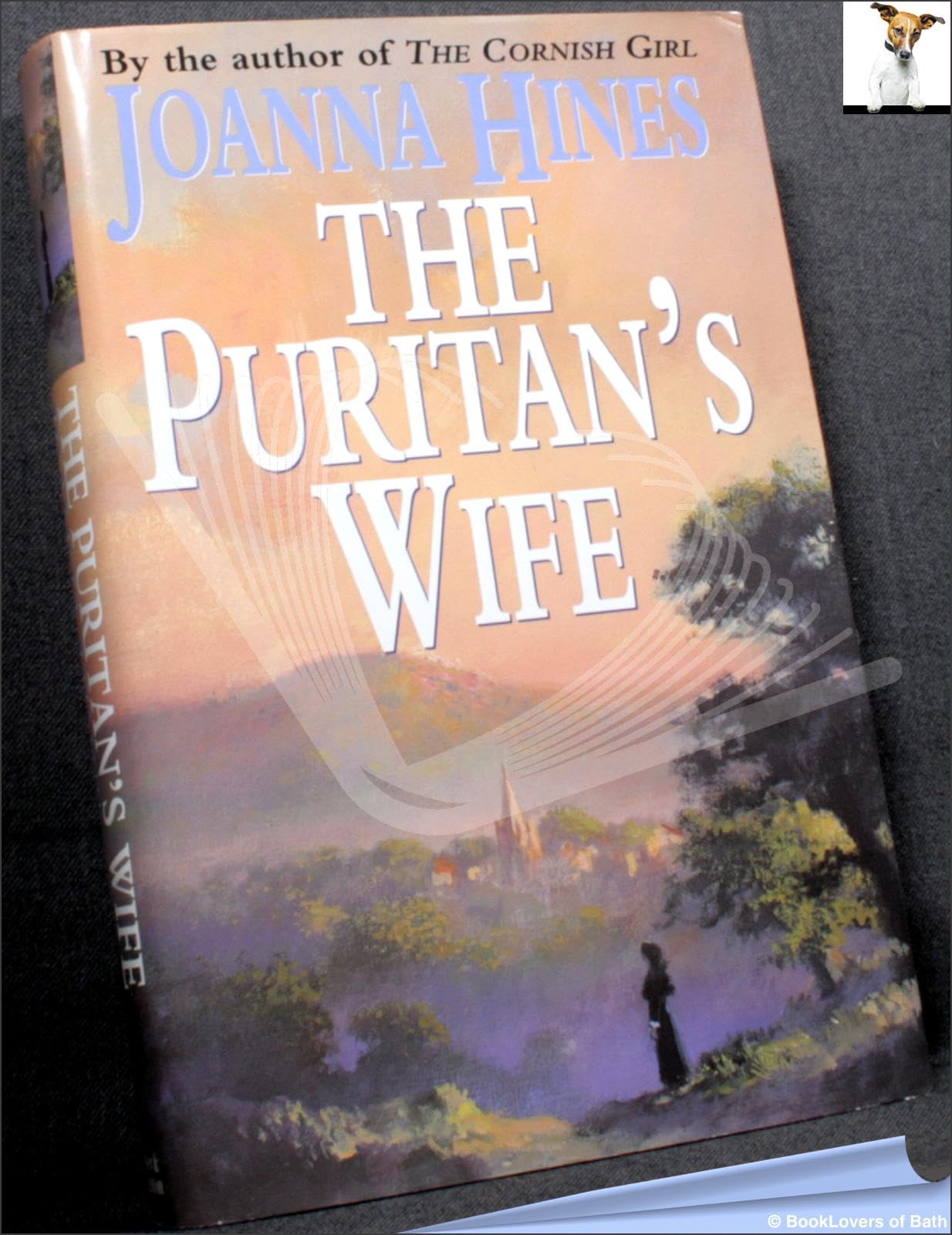 The Puritan's Wife Historical Fiction