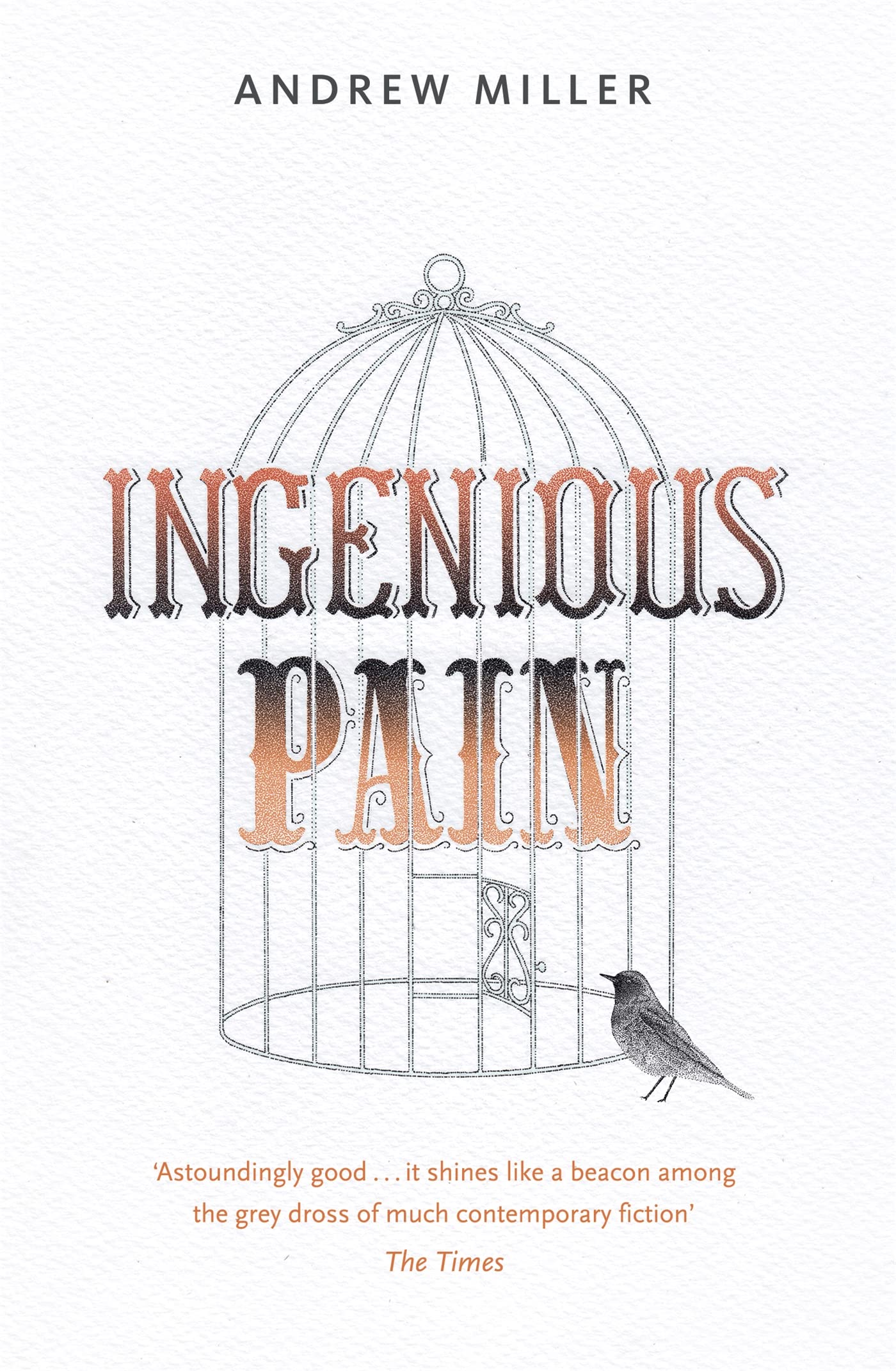 Ingenious Pain Contemporary literature Books