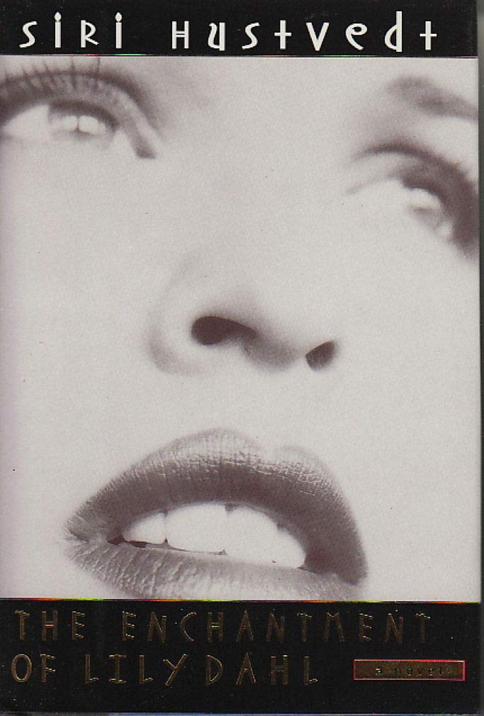 The Enchantment of Lily Dahl book