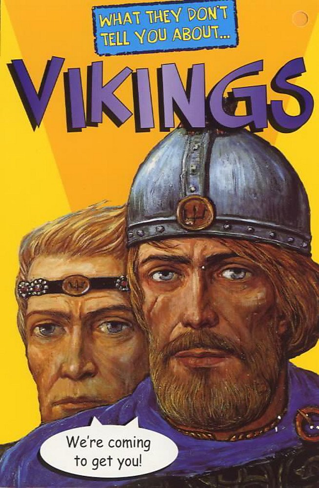What They Don't Tell You About Vikings book