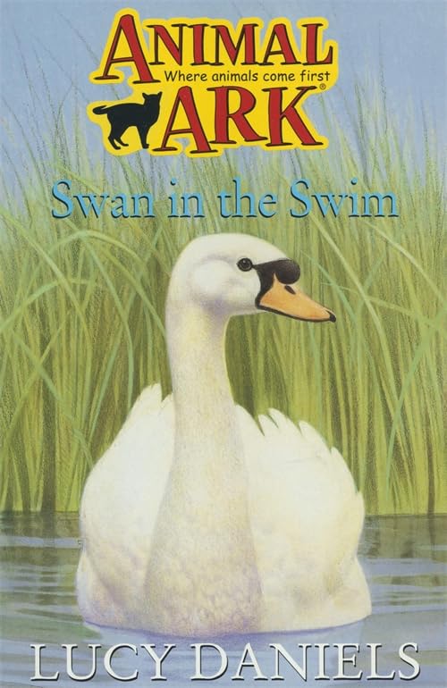 Swan In The Swim book